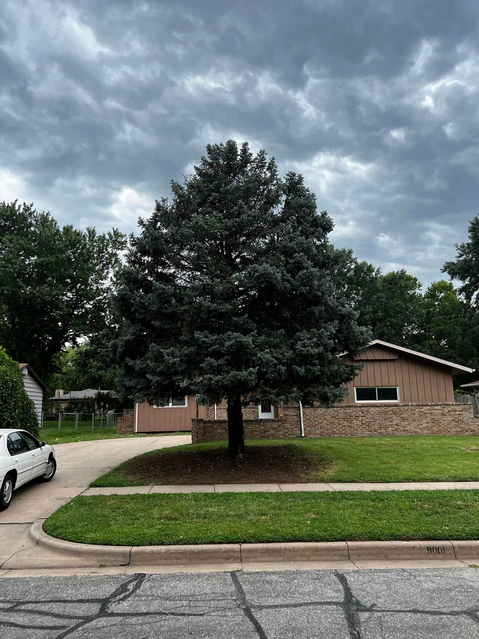  for Macy Mowing LLC in Wichita, KS