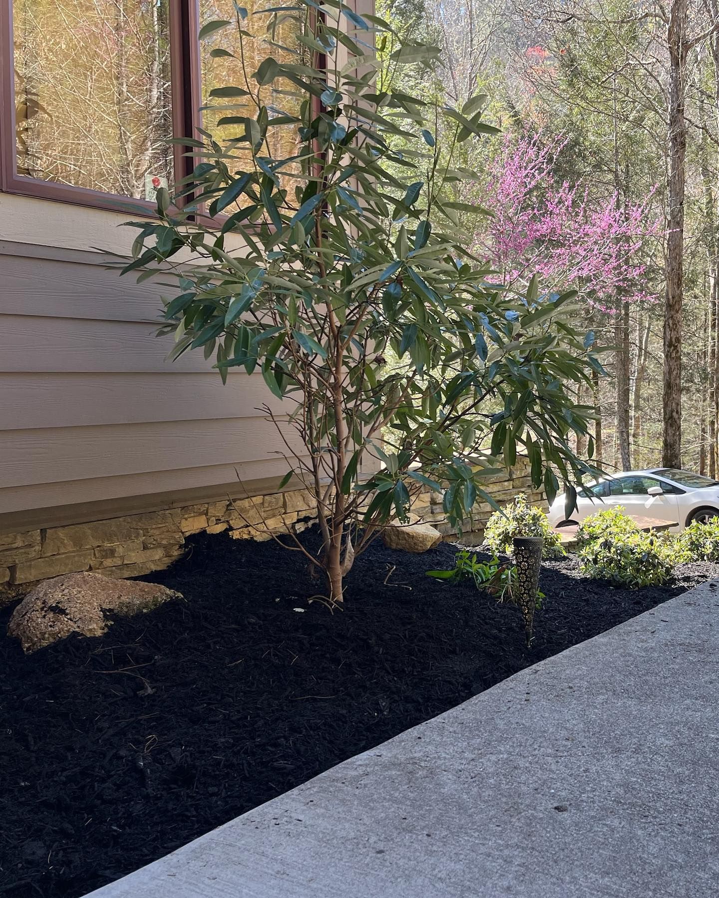 All Photos for Smoky Mountain Landscaping in Maryville, TN