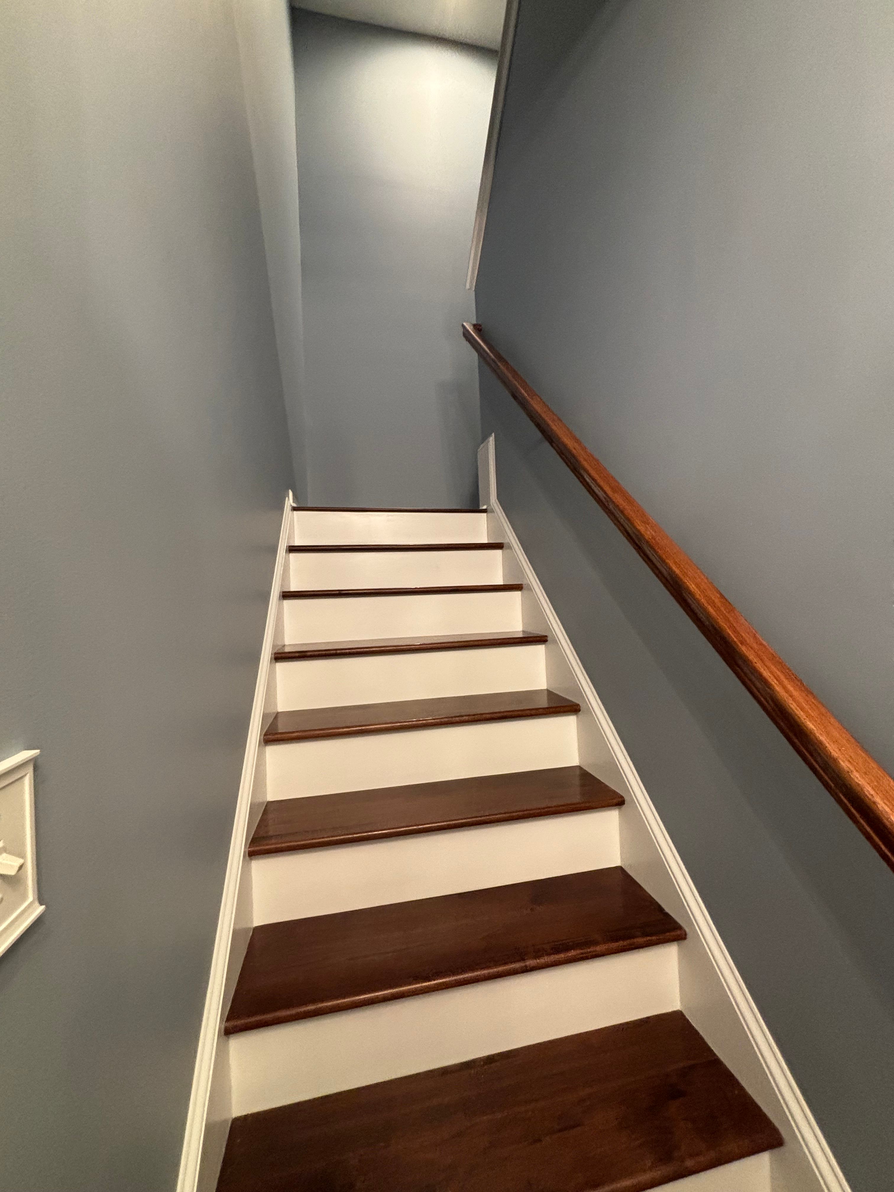  for Palmetto Quality Painting Services in  Charleston, South Carolina