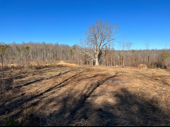  for Cedar Point Land Management in Richmond, VA