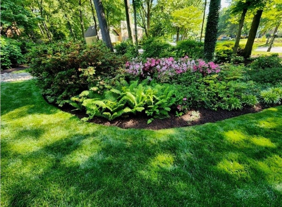 All Photos for Wiley Landscape Design in York, PA