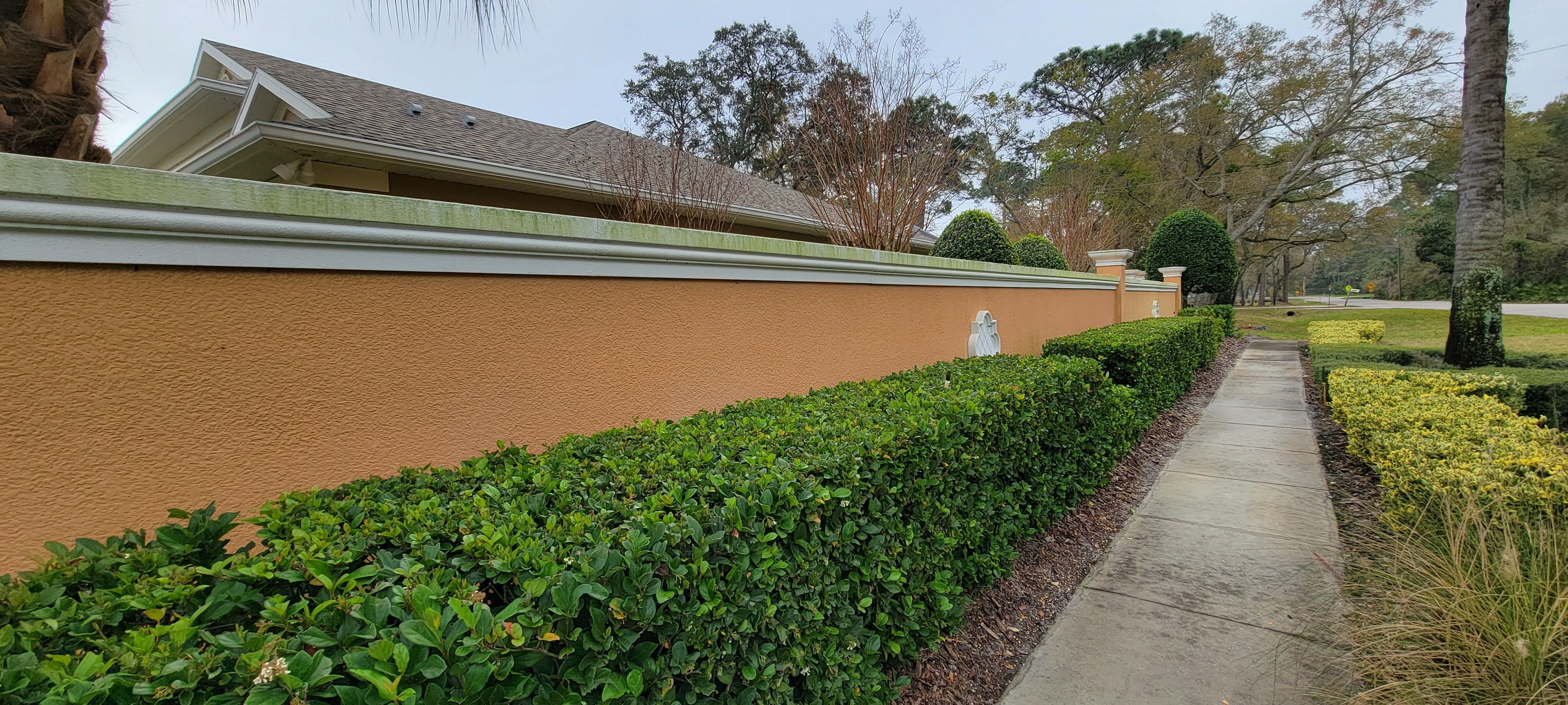  for Blue Stream Roof Cleaning & Pressure Washing in Tampa, FL