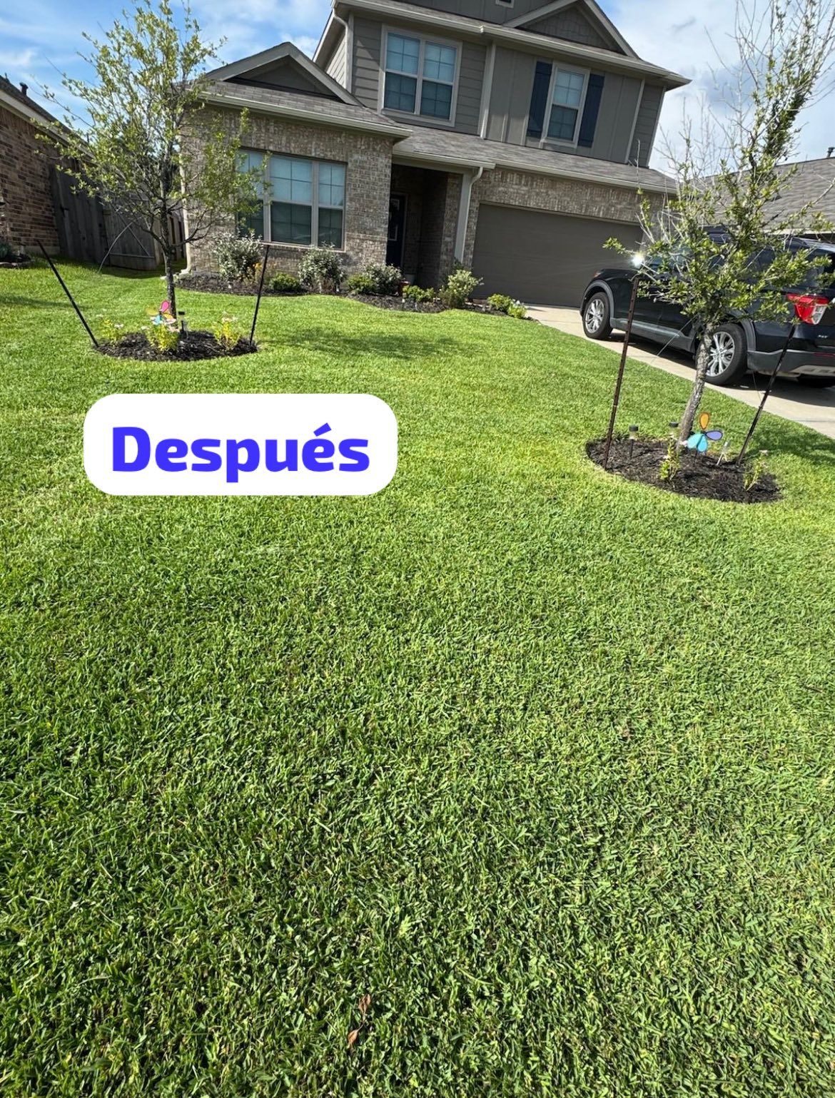  for Loredo's Landscaping in New Caney, TX
