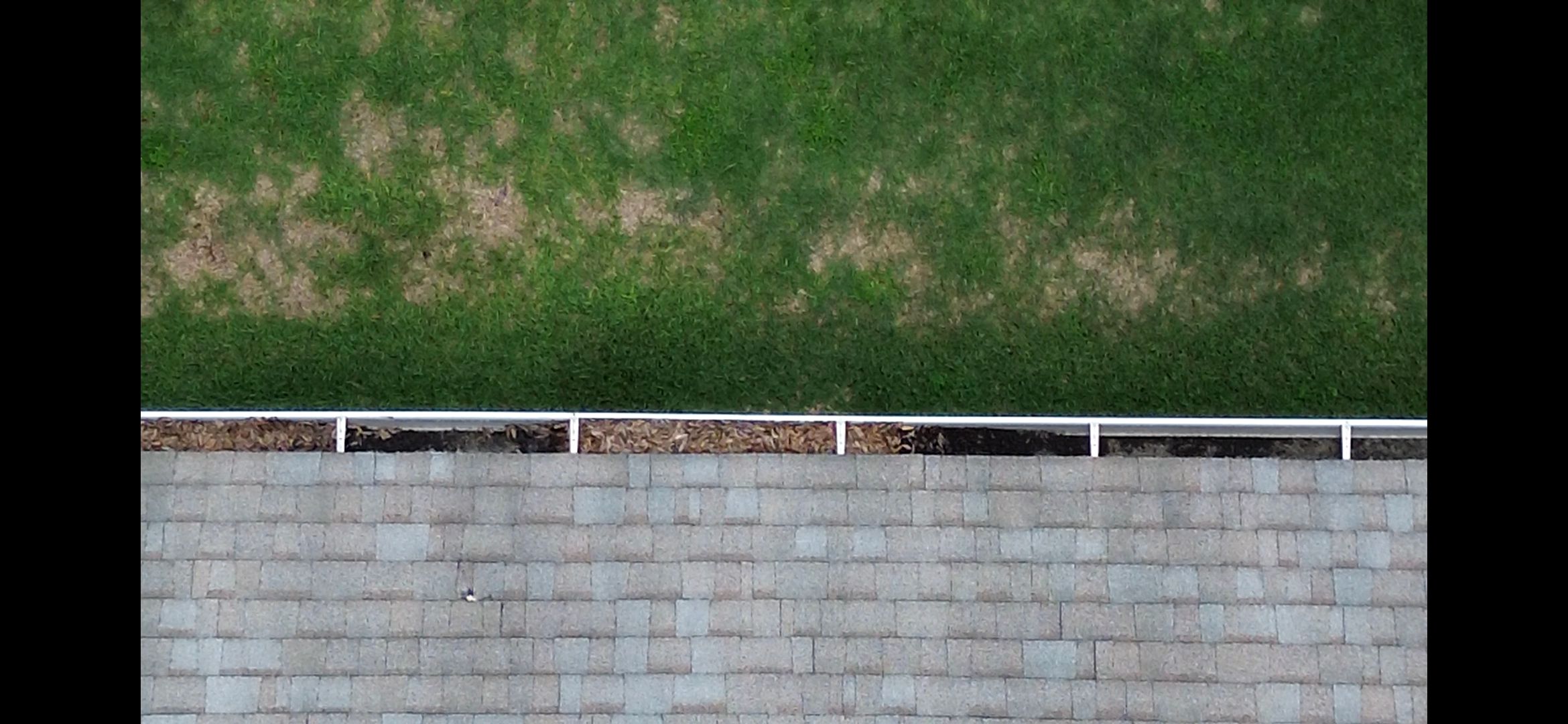  for Blue Stream Roof Cleaning & Pressure Washing in Tampa, FL