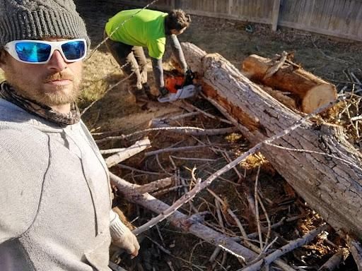  for Sloan Tree Service in Aurora, CO