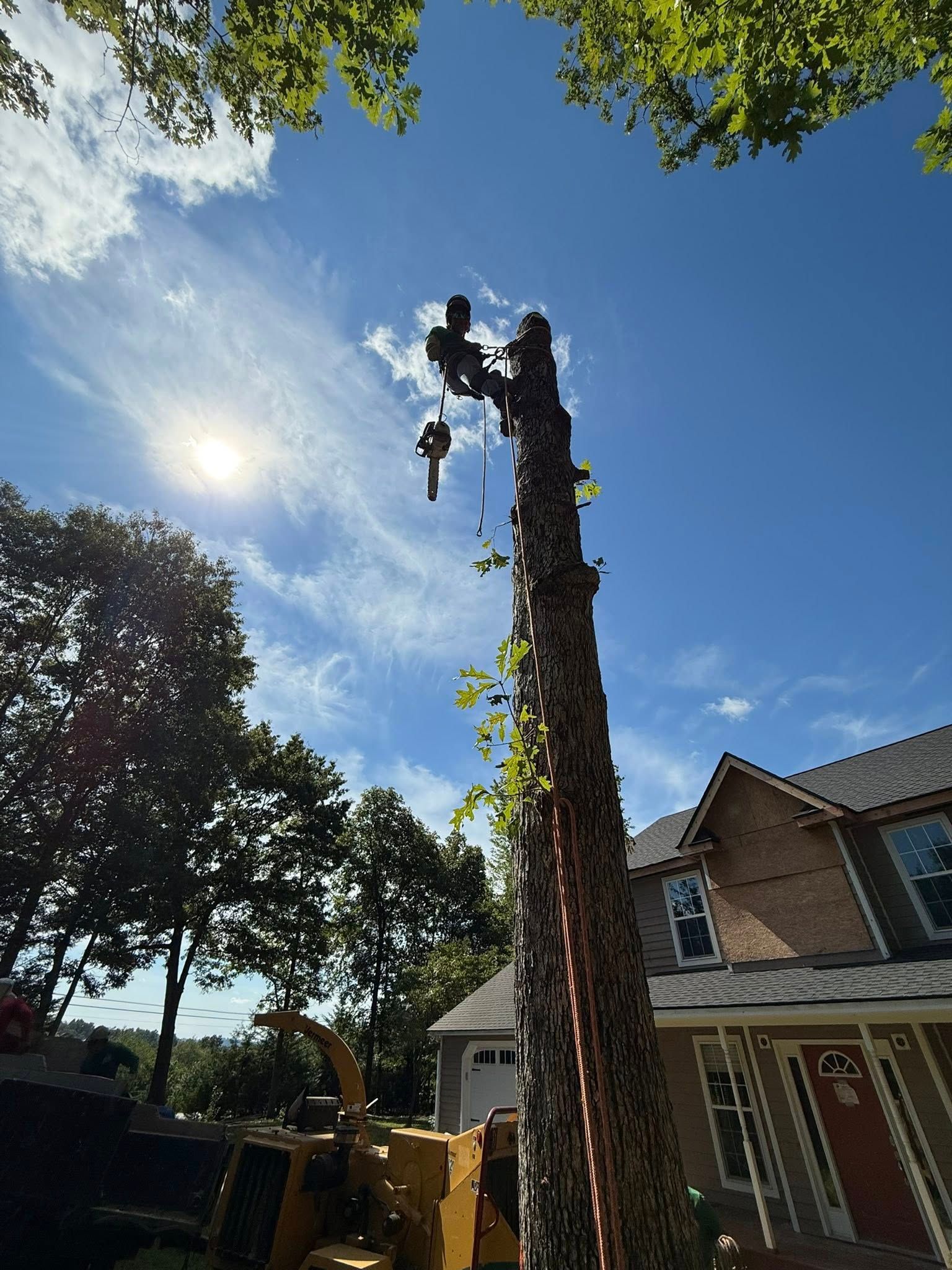  for Torres Tree Service and Landscaping in Hendersonville, NC