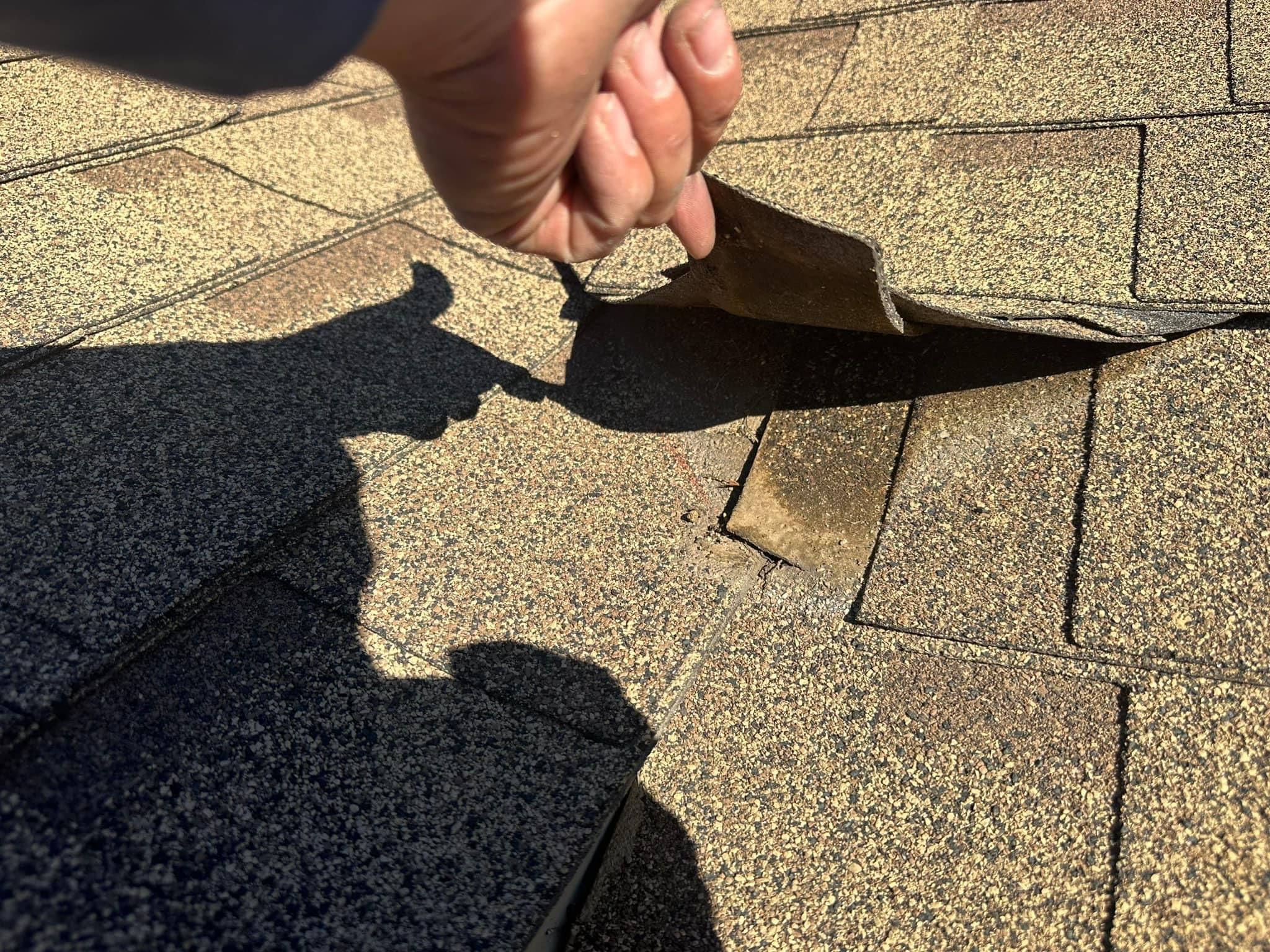  for Alpha Roofing LLC  in Tucson,  AZ