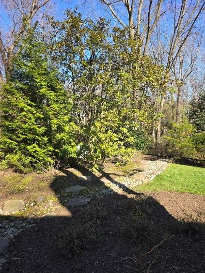  for W D Giampa Lawns and Landscape Inc. in Manassas, VA