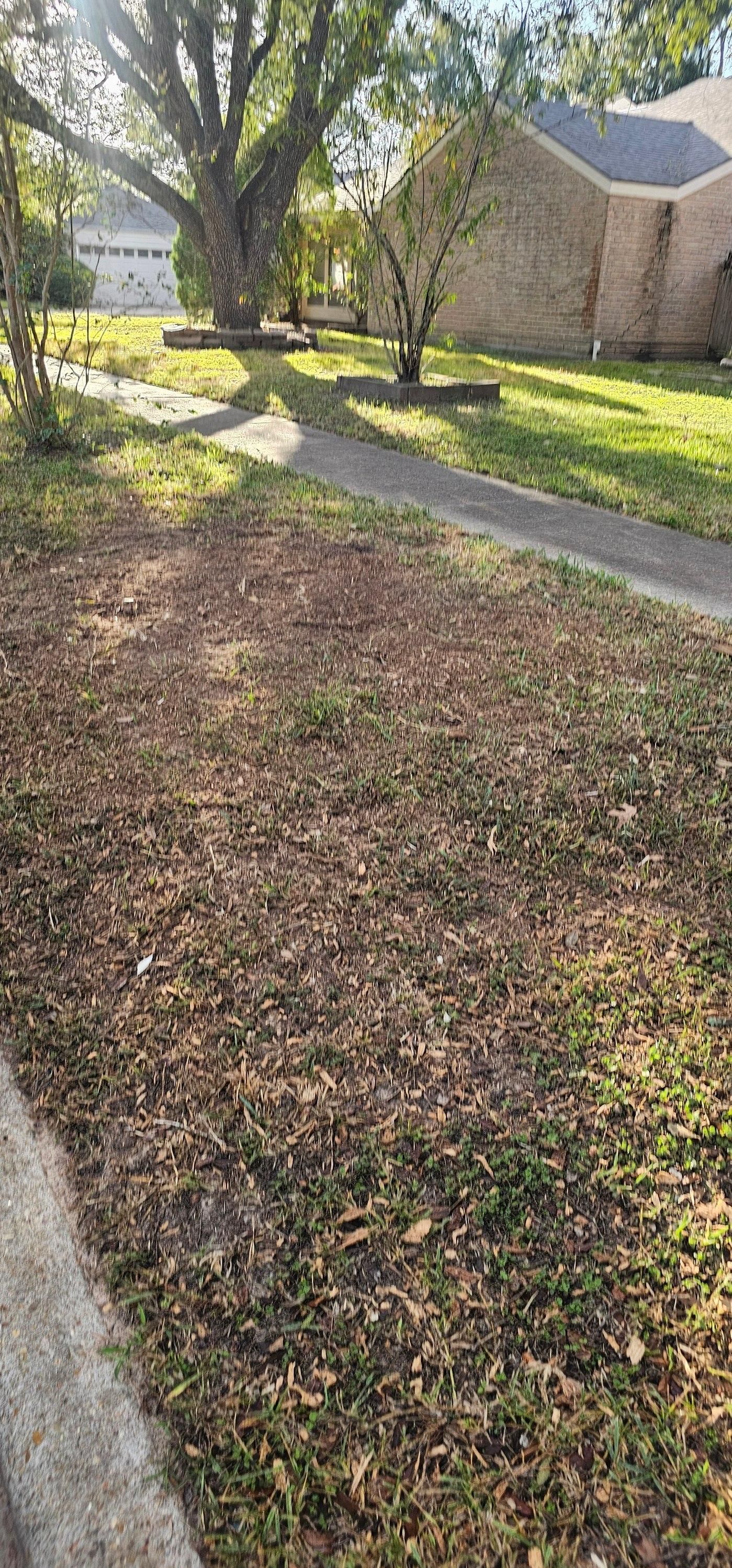  for Servin's Tree Care  in Houston, TX