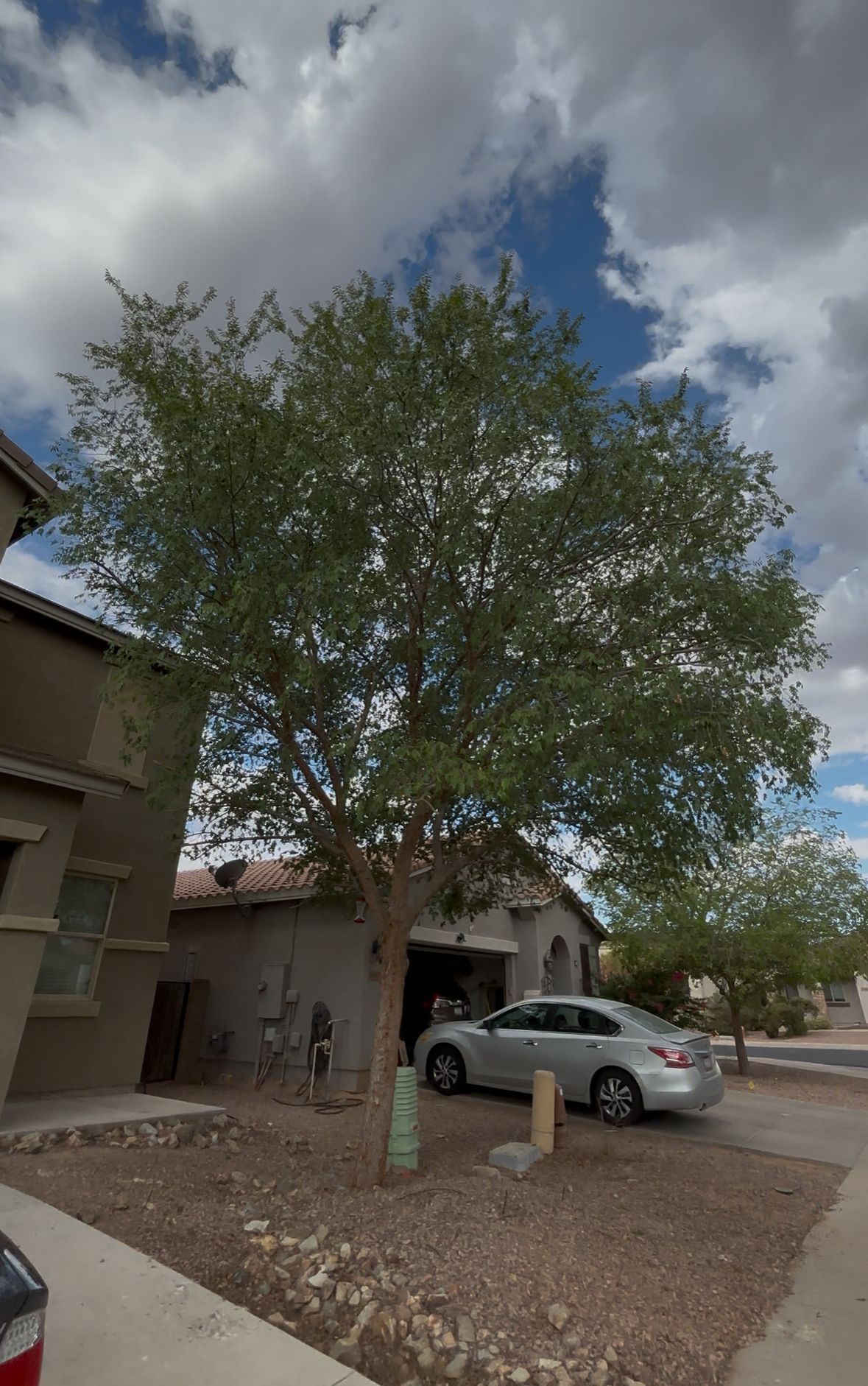  for Good Hands Landscape in Maricopa, AZ