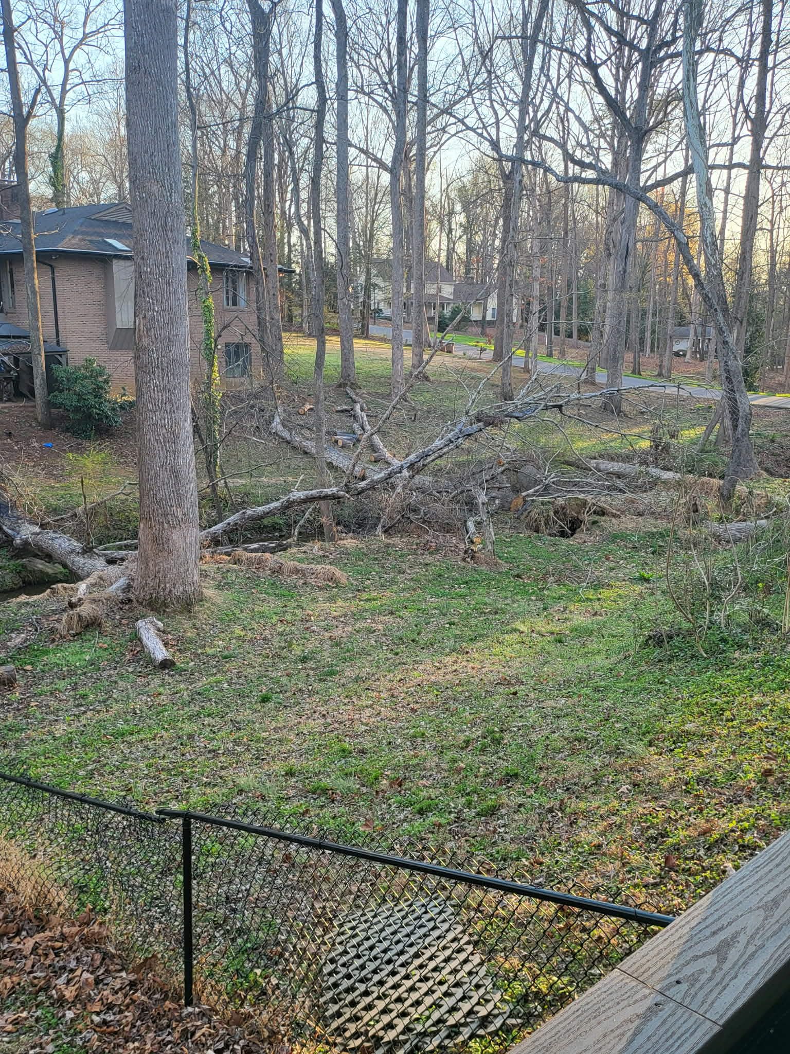  for Toney Site Services LLC in Rutherford County, NC