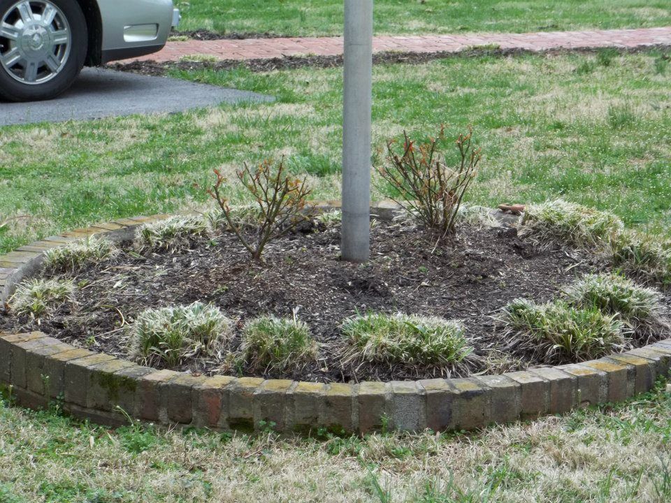  for Dustins Lawncare and Landscaping in Lawrenceburg, TN