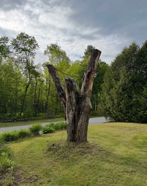 All Photos for Bishop’s Property Maintenance in Franklin, VT