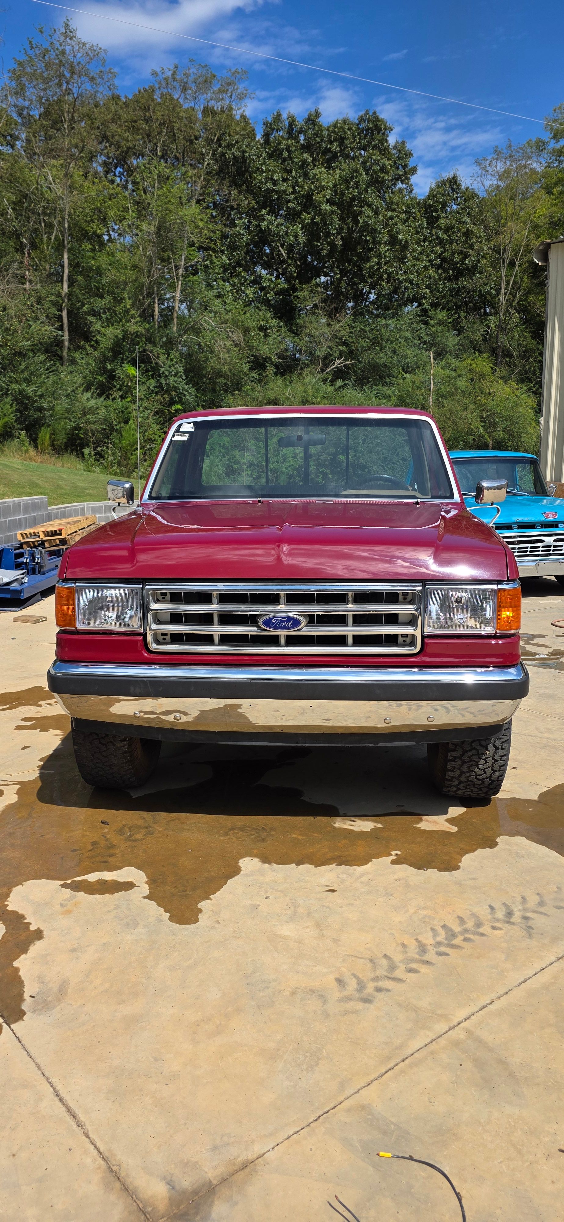  for Cave Spring Customs in Cave Spring, GA