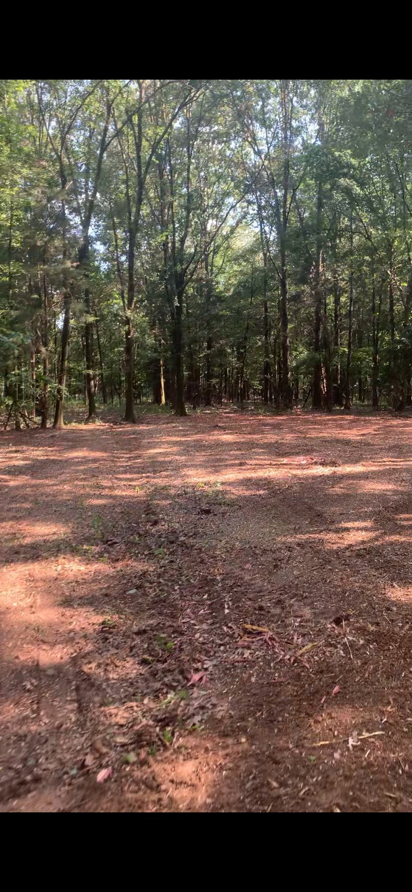  for Polasini Land Development in Starkville, MS