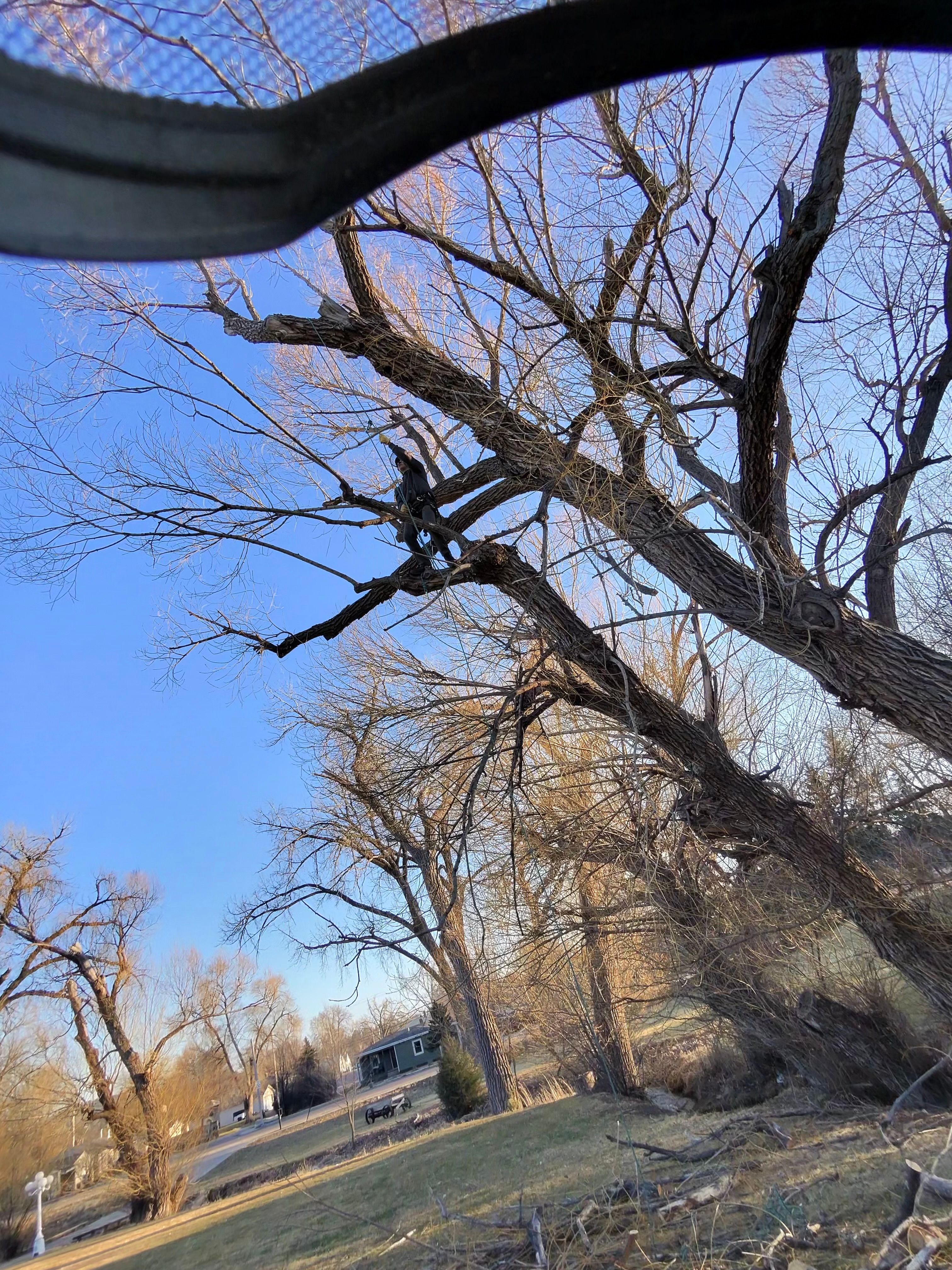  for Elevated Tree Care in Gillette, WY