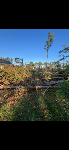  for Thompson Forestry Mulching & Stump Grinding in Douglas, GA