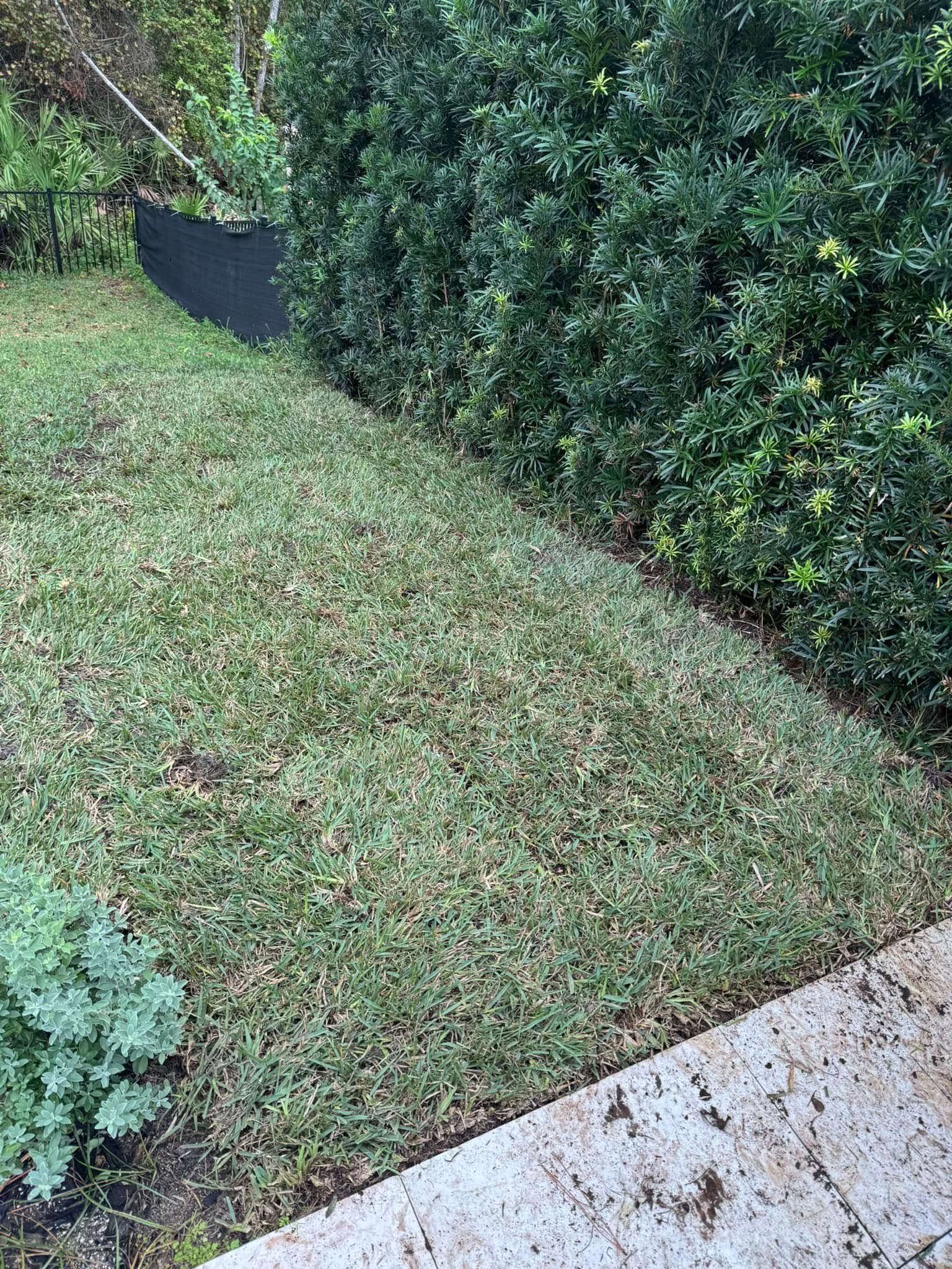  for Four Corners Sod in Saint Augustine, FL
