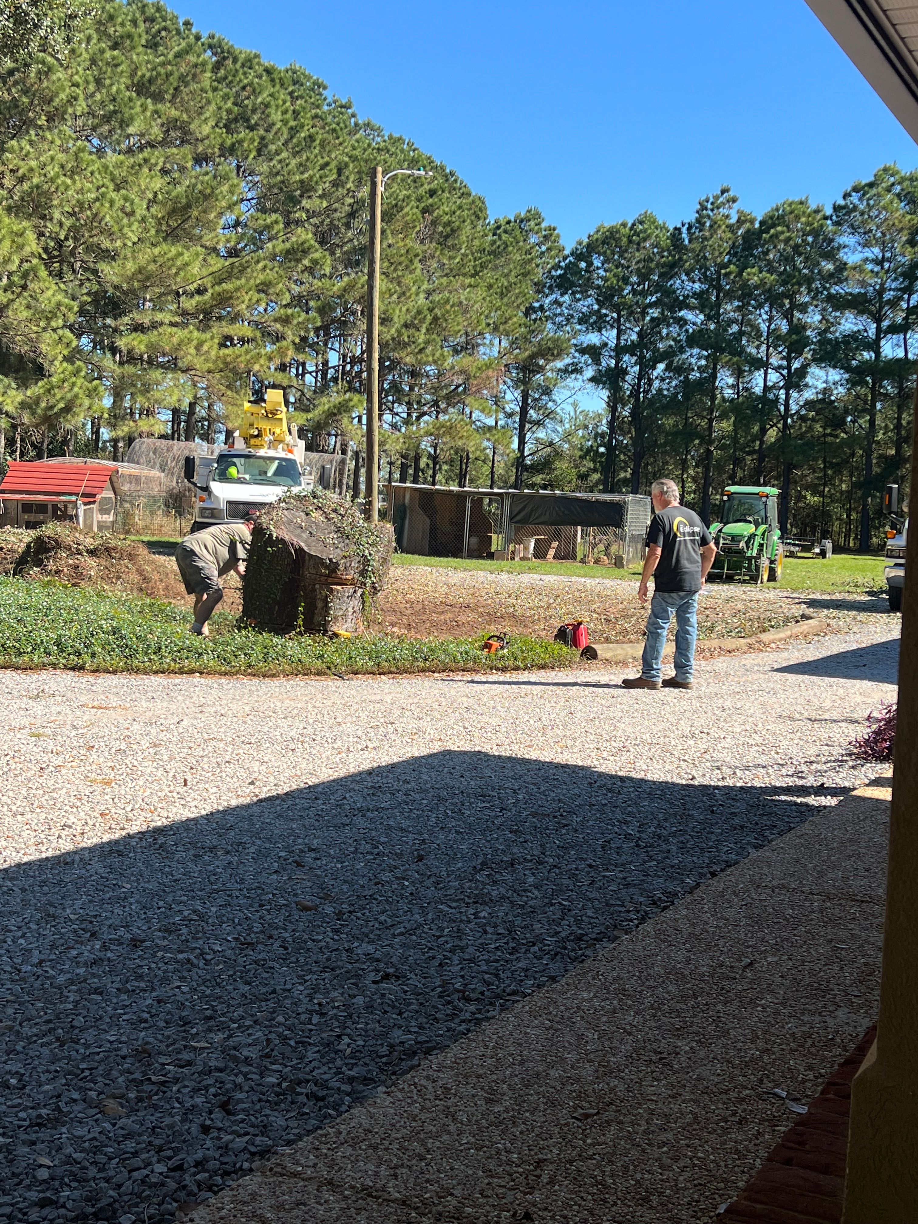  for Southern Venom Services in Daphne, AL