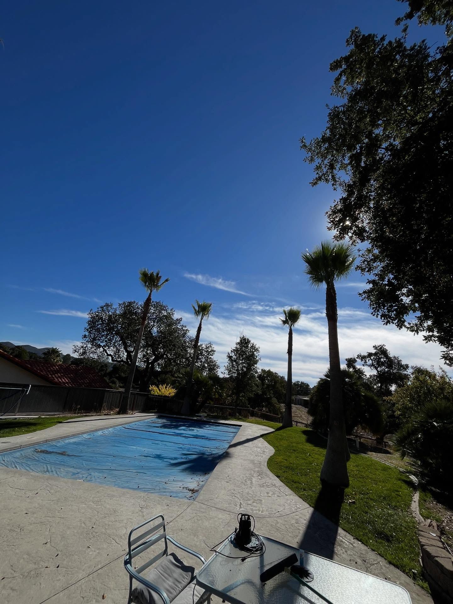  for A1 Junk & Tree Solutions, LLC in Paso Robles, CA