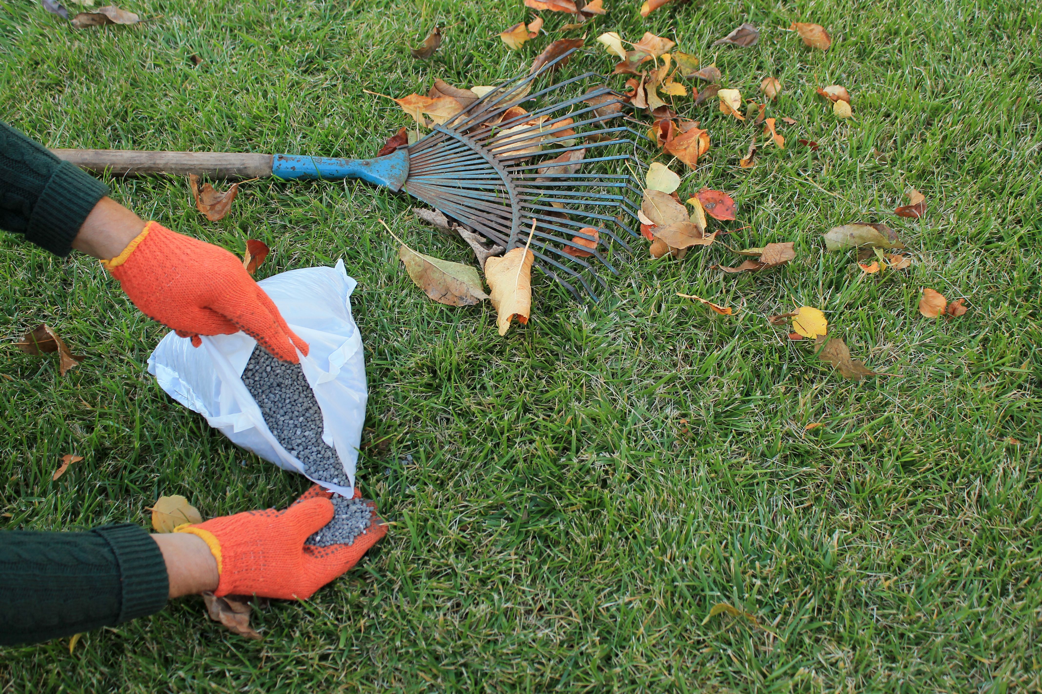  for Zotelo’s Lawncare LLC in Winston-Salem, NC