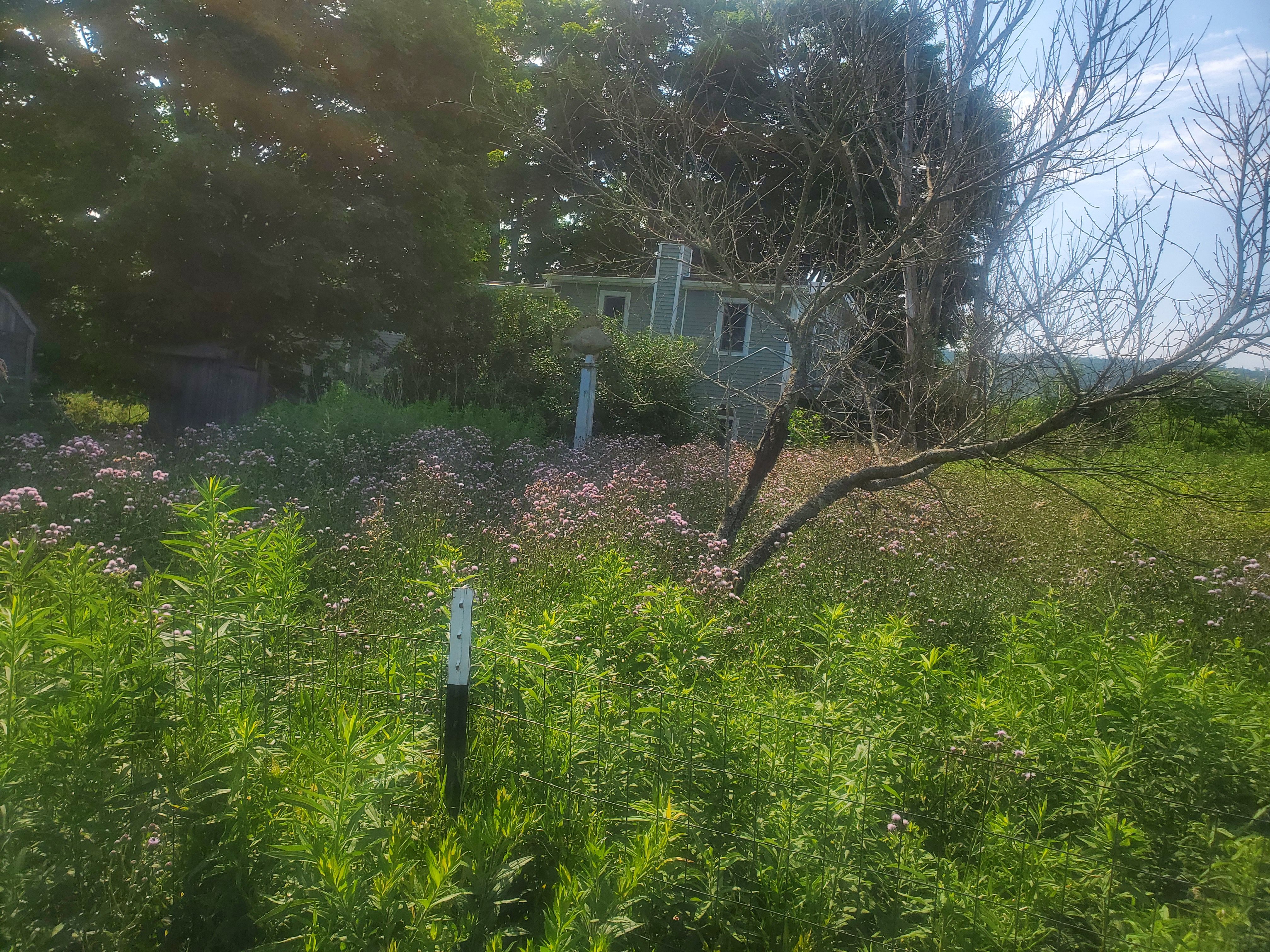  for Down Home Landscaping in Stillwater, PA