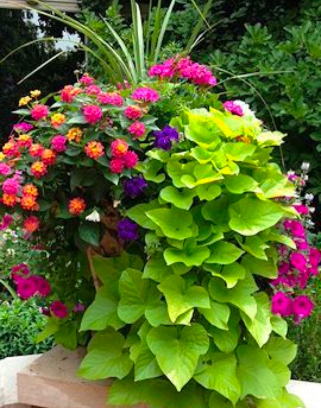  for Hightower Home Improvement and Garden in Atlanta, GA