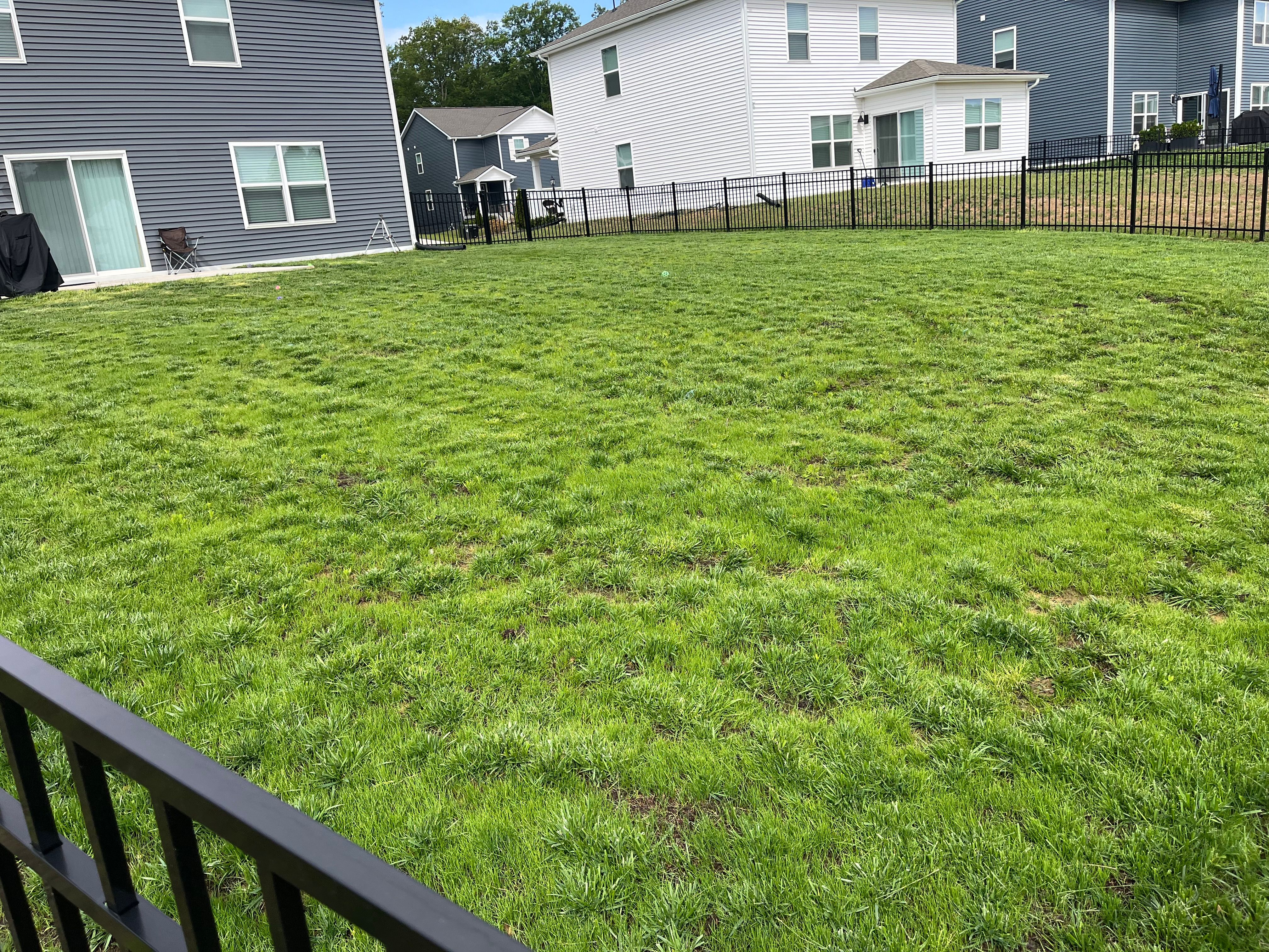  for Atlas Home Services in Mechanicsville, VA