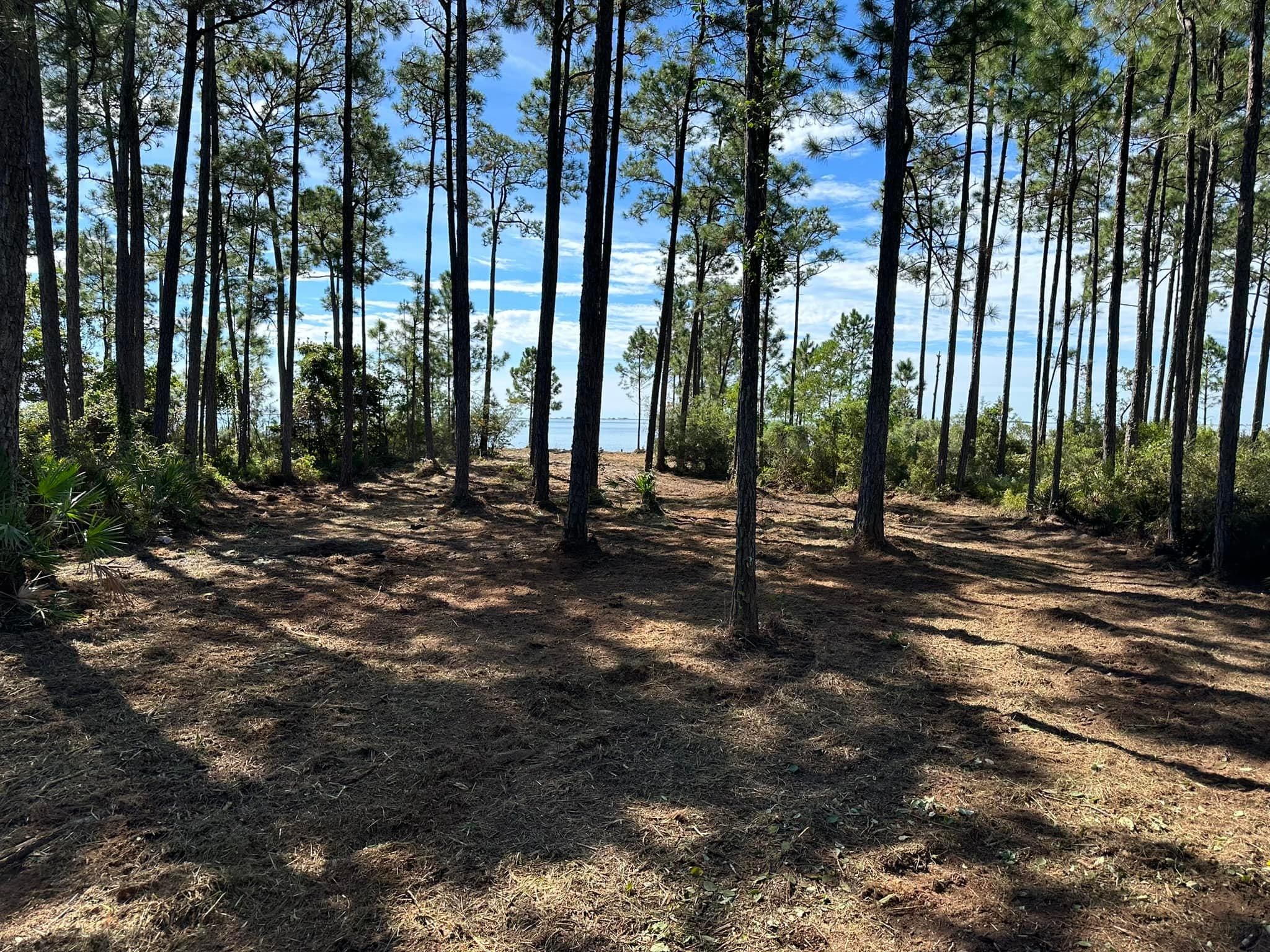 All Photos for White’s Land Maintenance in Milton,, FL