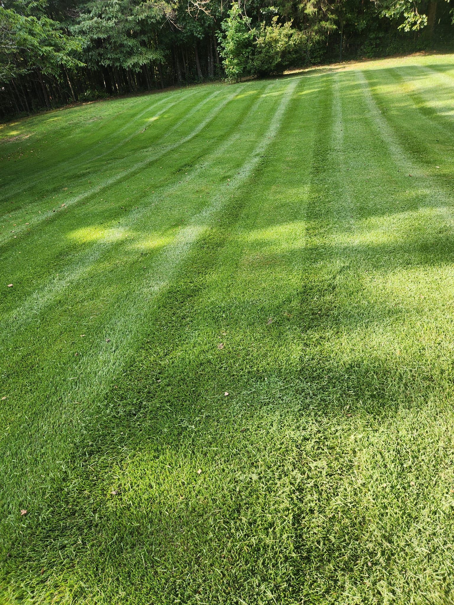  for Ordered Steps Landscaping in Rossville, GA