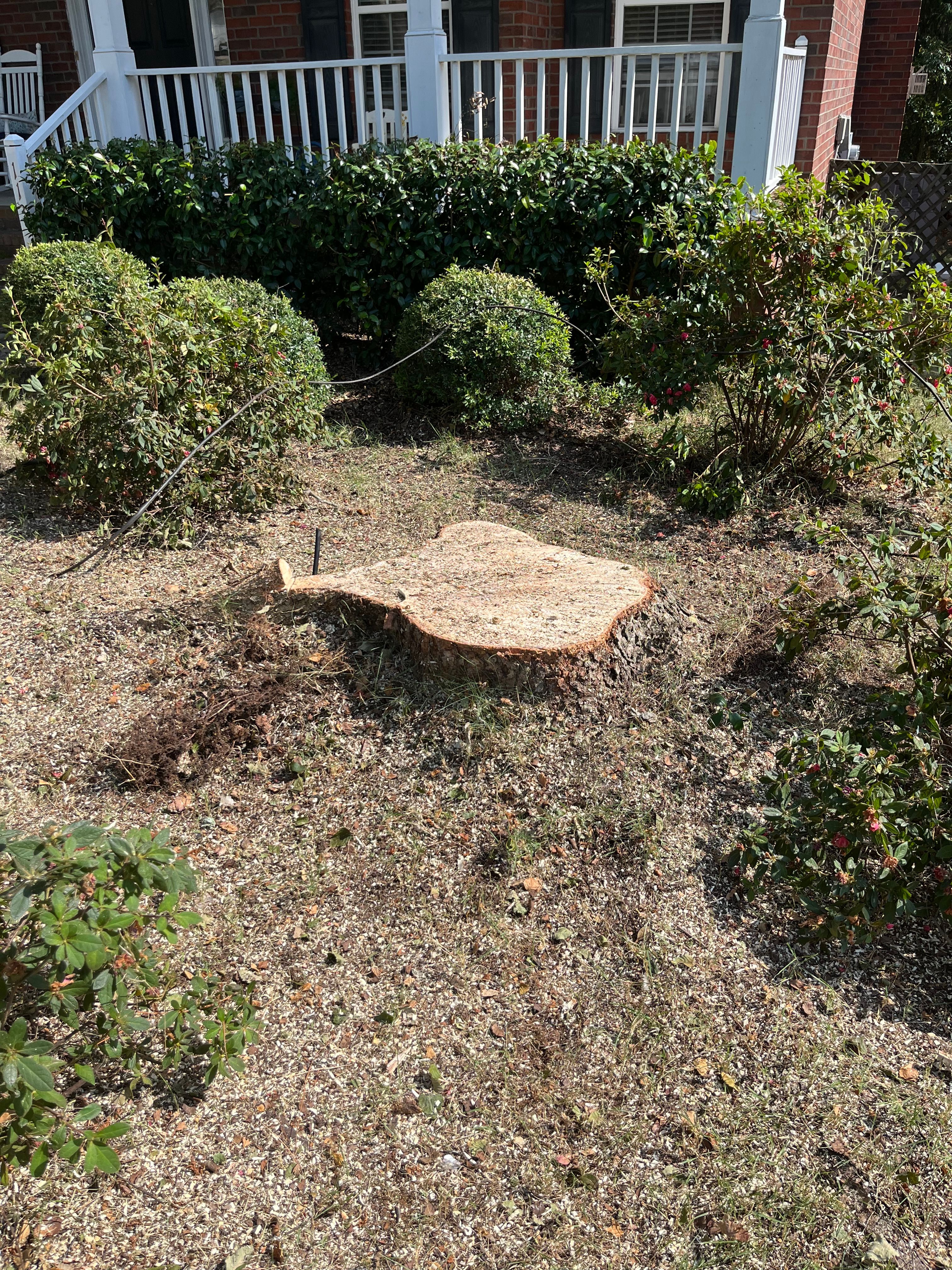 Stump Grinding for Otis Lee Stump Grinding LLC in Elgin, SC