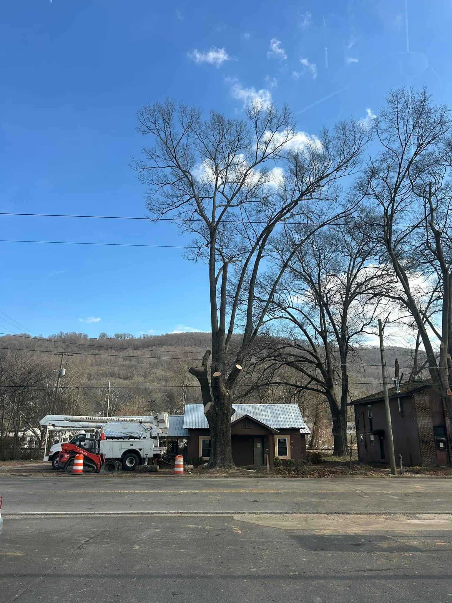  for Chipper's Tree Service  in Fort Payne, AL
