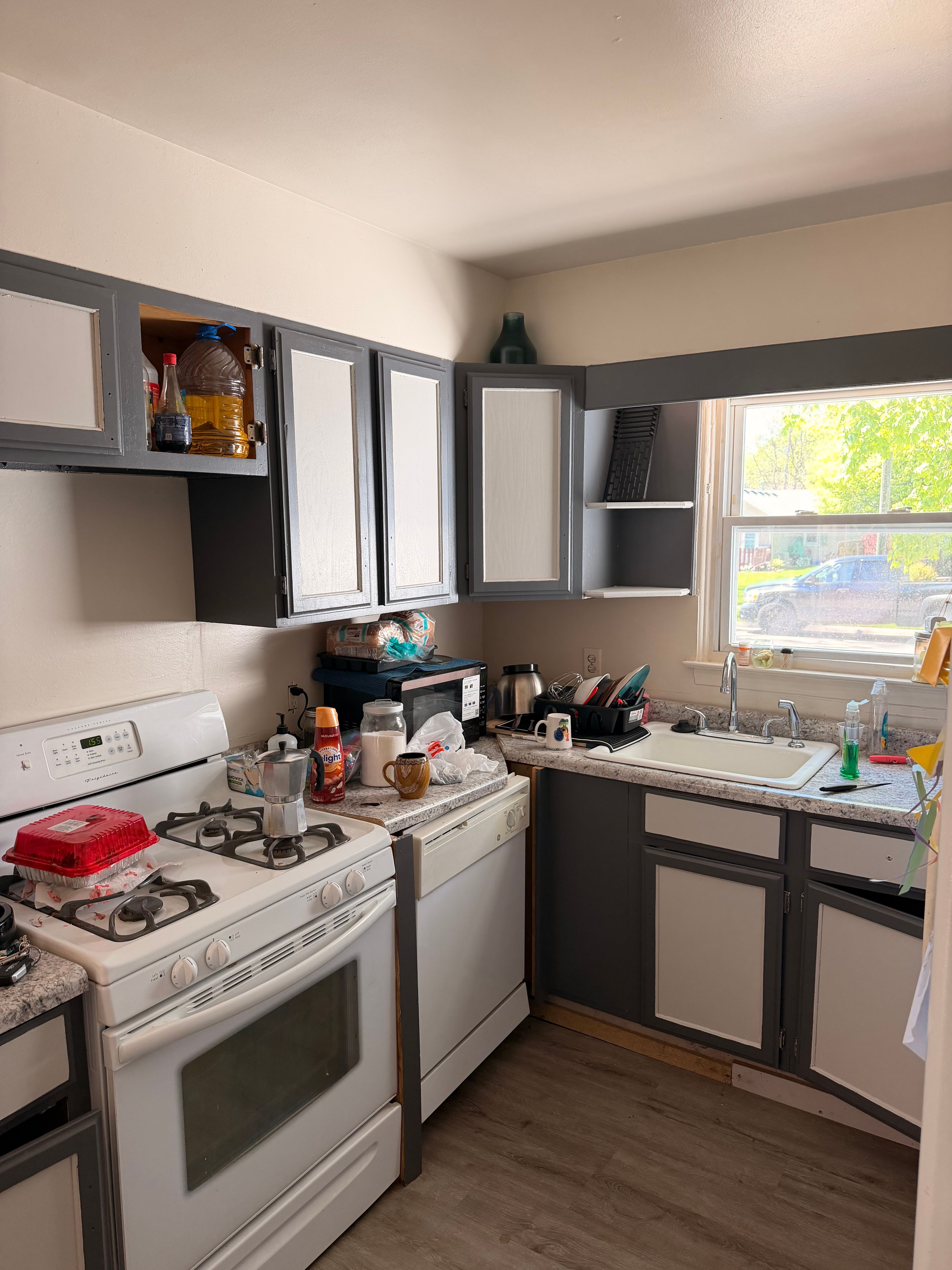  for Start to Finish Painting in Saginaw County, MI
