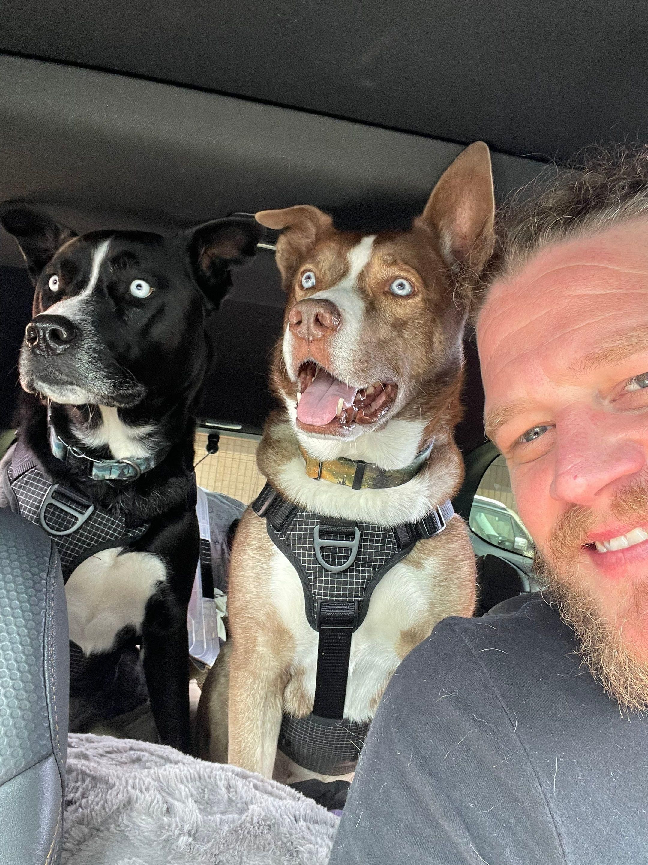 It's really about the pets we meet along the way... for Mr. Pipe Dreams LLC in Colorado Springs, CO