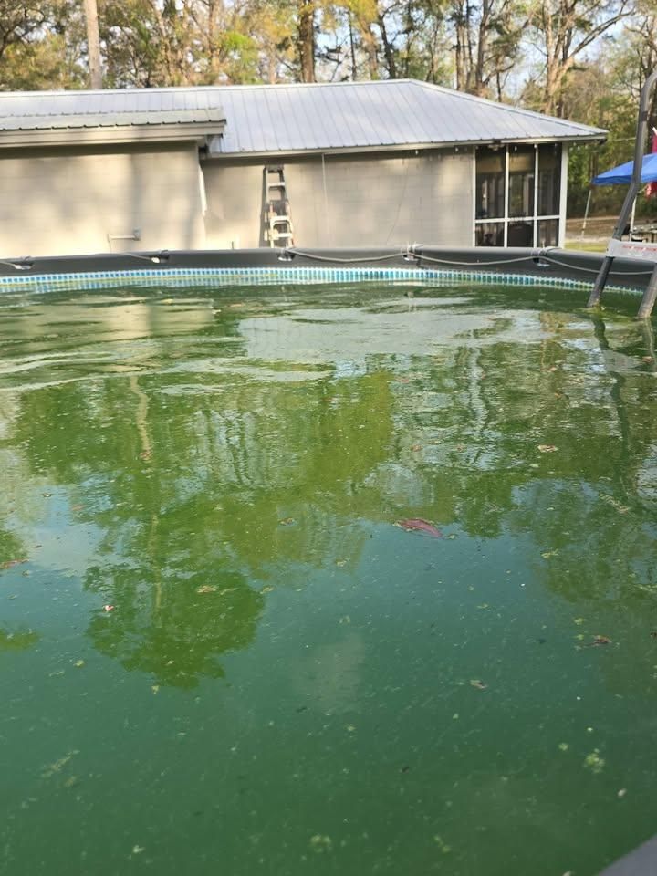 for Down & Dirty Pool Service in Crawfordville, FL