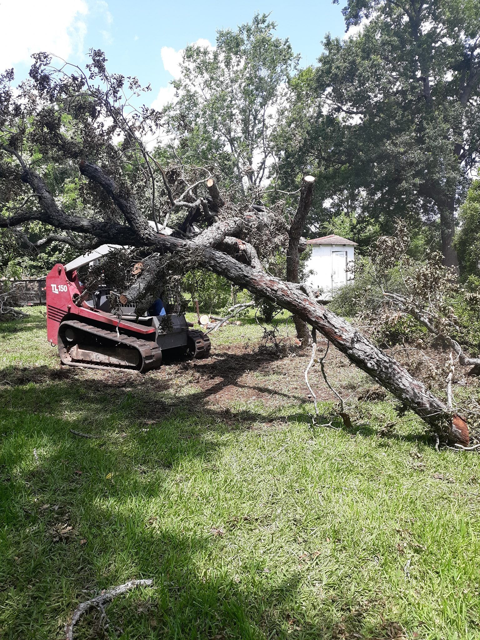 All Photos for Leon Landscaping & Tree Service in Palestine, TX