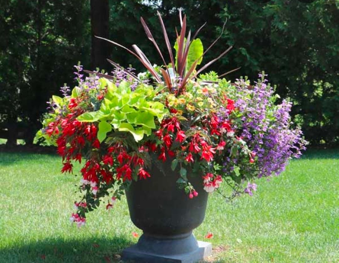  for Hightower Home Improvement and Garden in Atlanta, GA