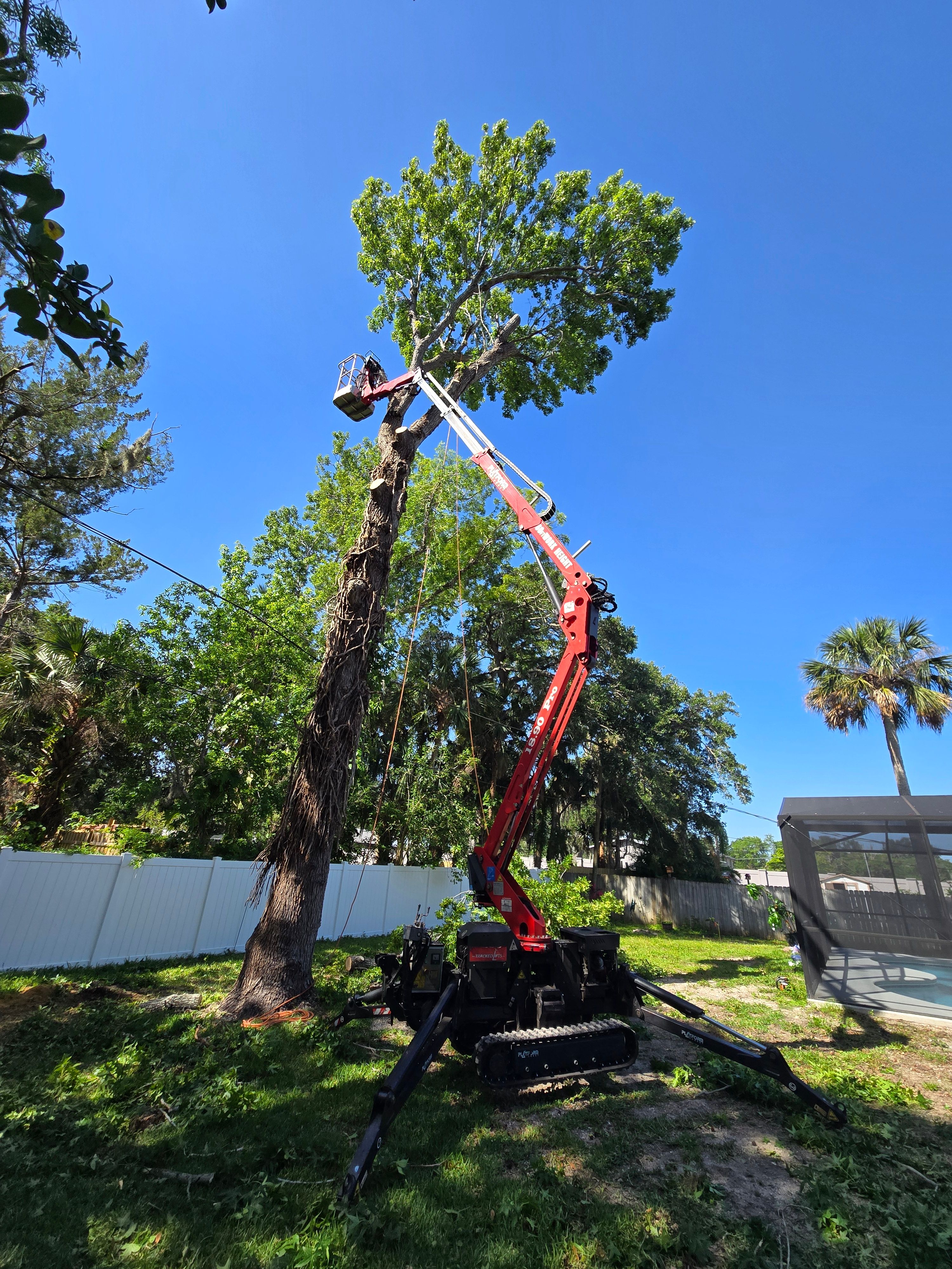 All Photos for Near Me Tree Service, Inc. in DeLand, FL