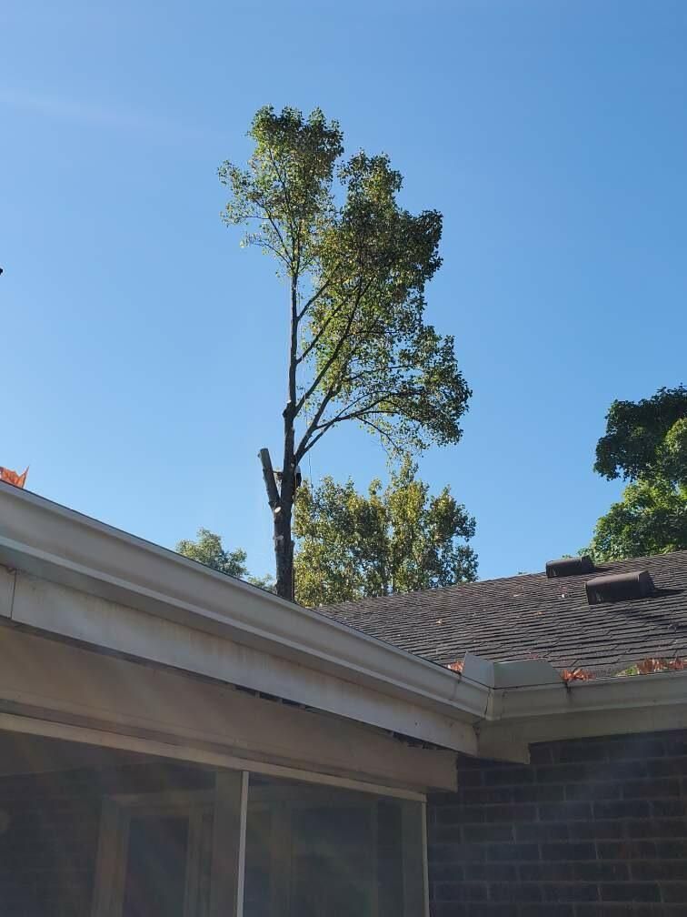  for Kingdom Tree Trimming and Removal LLC in Covington, KY