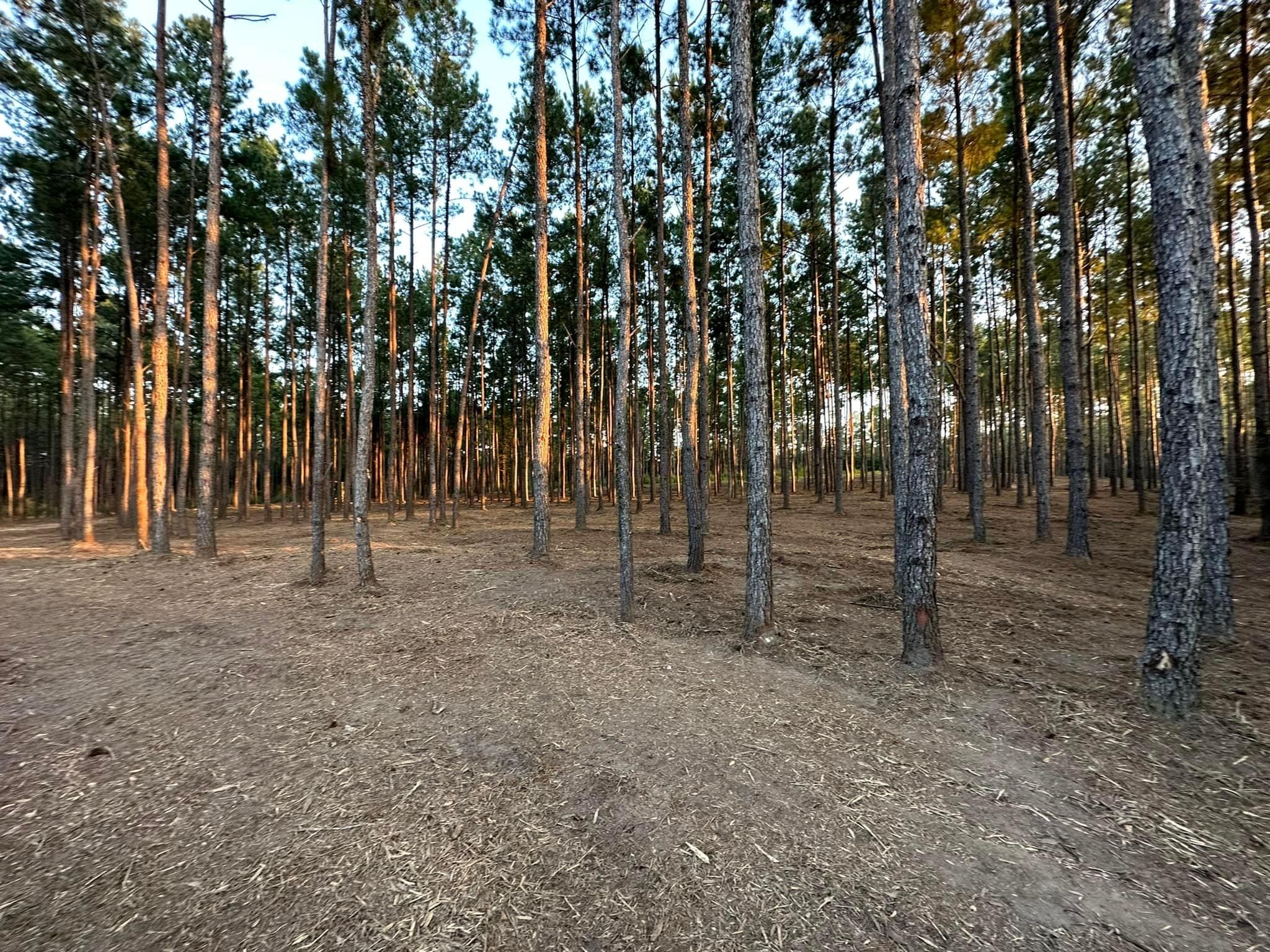  for White’s Land Maintenance in Milton,, FL