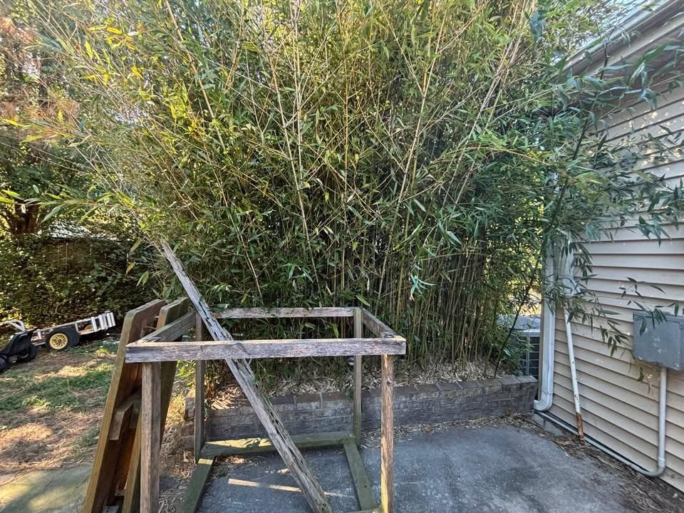 All Photos for Cowboys TREE Company in Chesapeake, VA