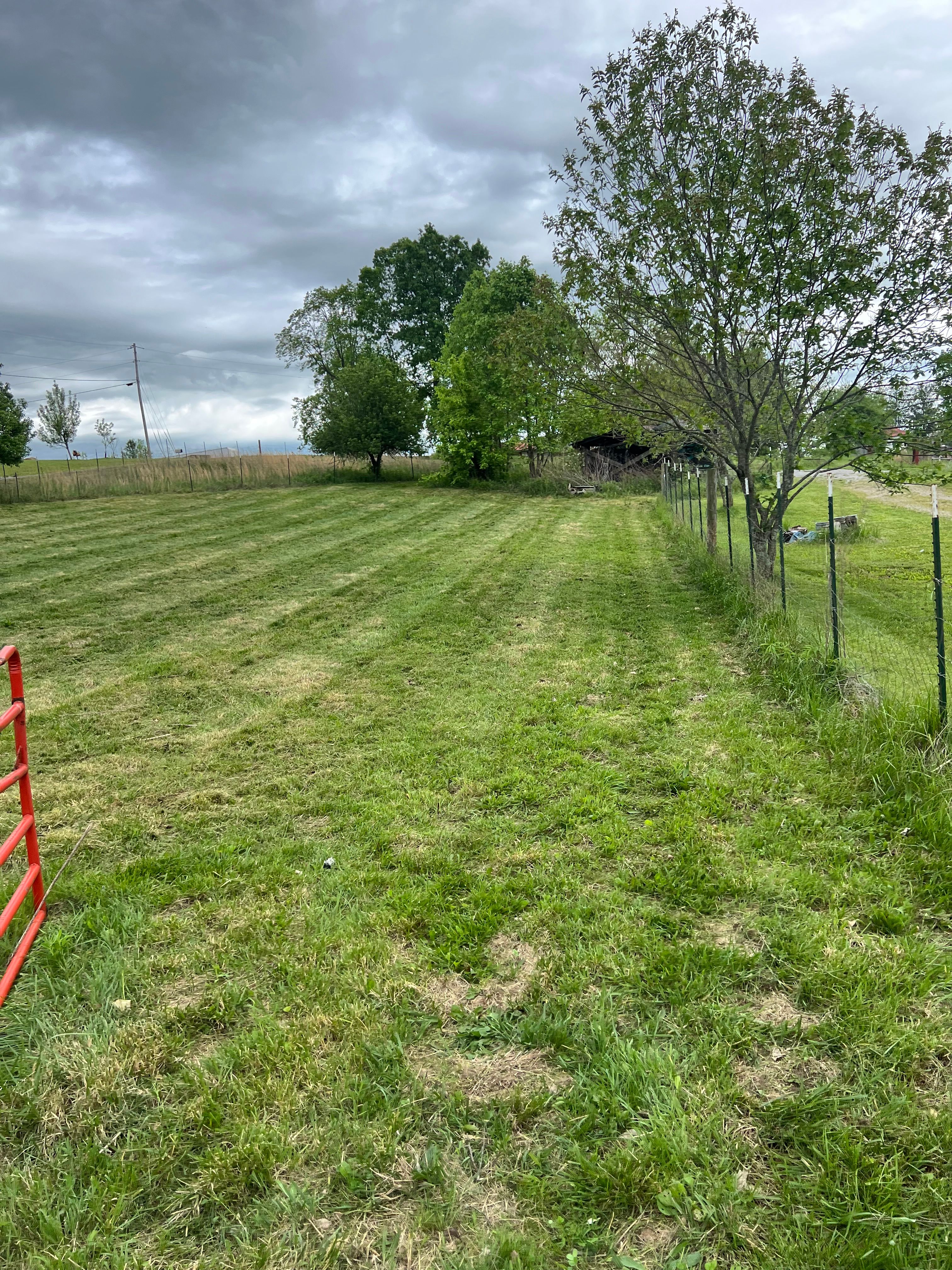 All Photos for The Yard Barbers in Somerset, KY