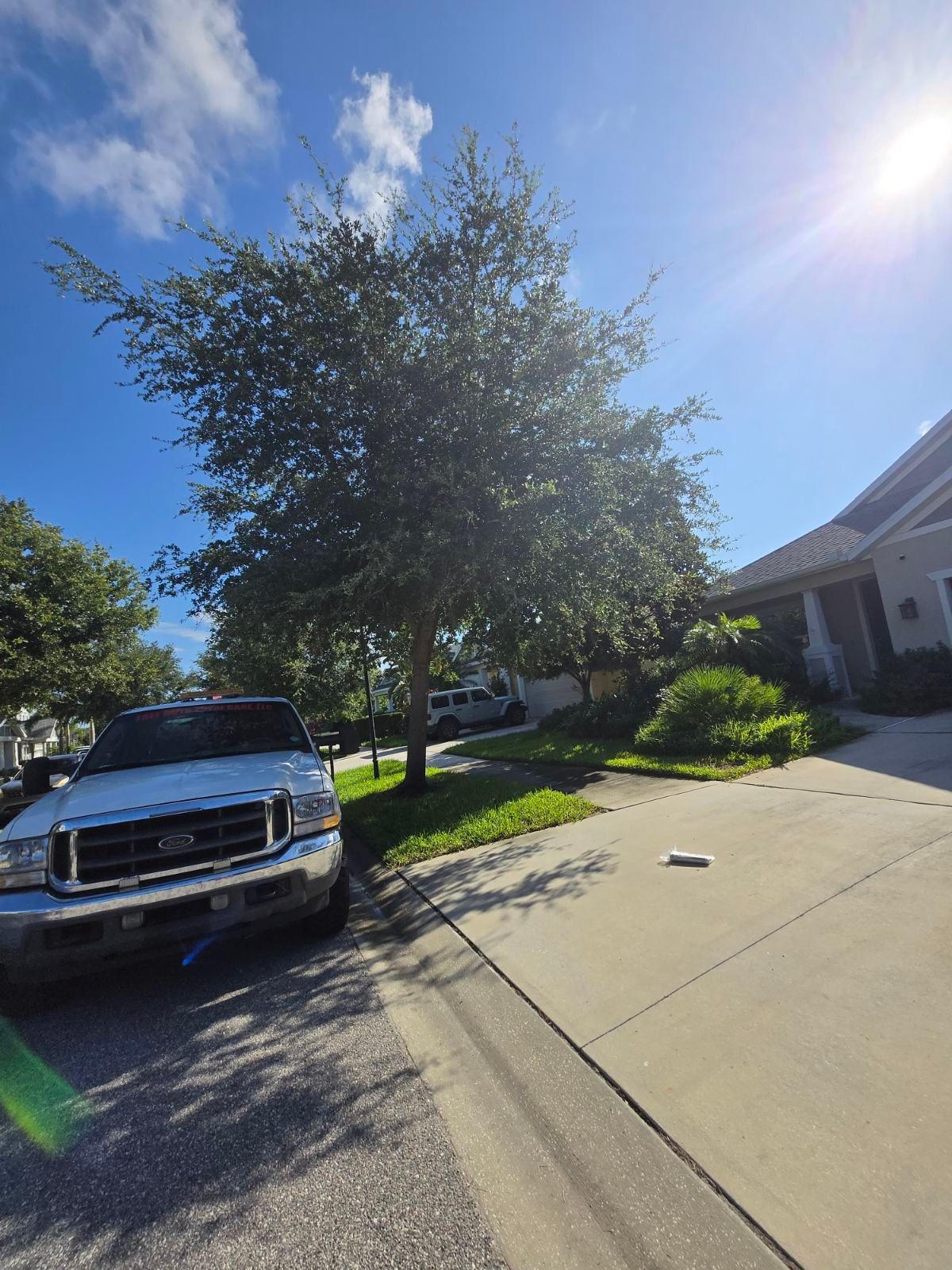 Tree Removal for TREE BOYS in Ruskin, FL