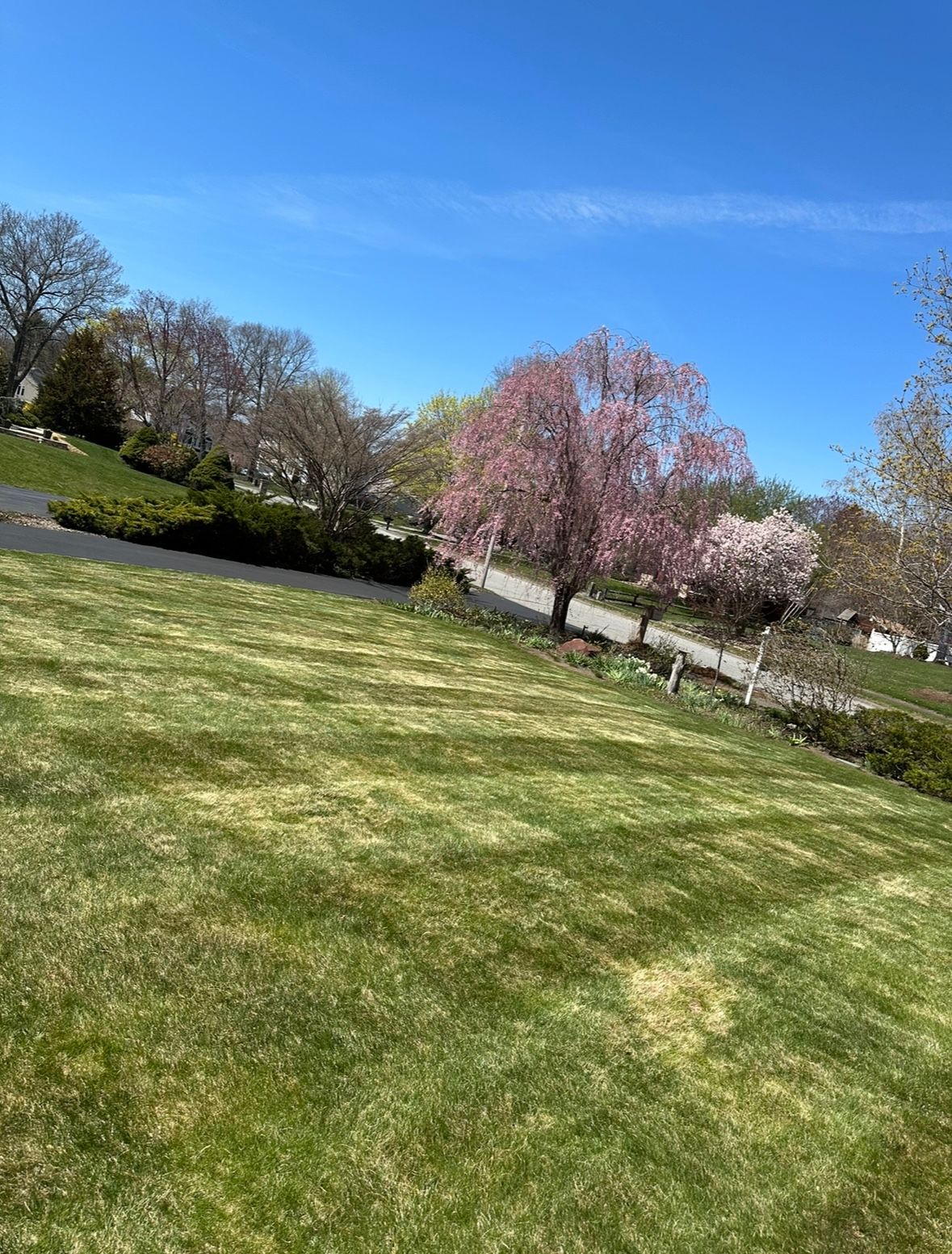  for Pote Landscaping LLC in Wilmington, MA
