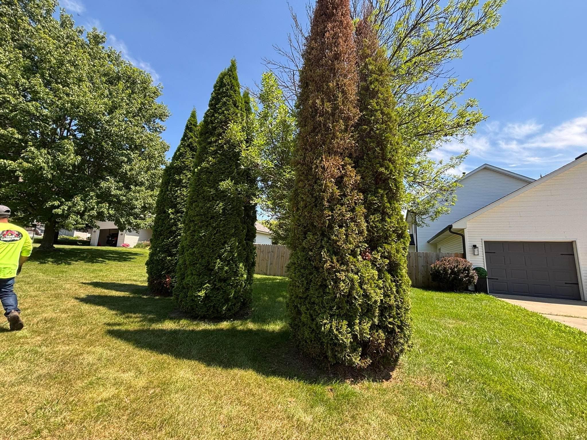  for Cena Landscaping in Rockford, IL