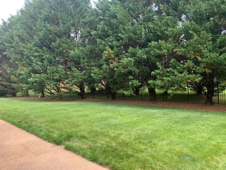  for Jace’s Tree & Stump Removal in Franklin, TN