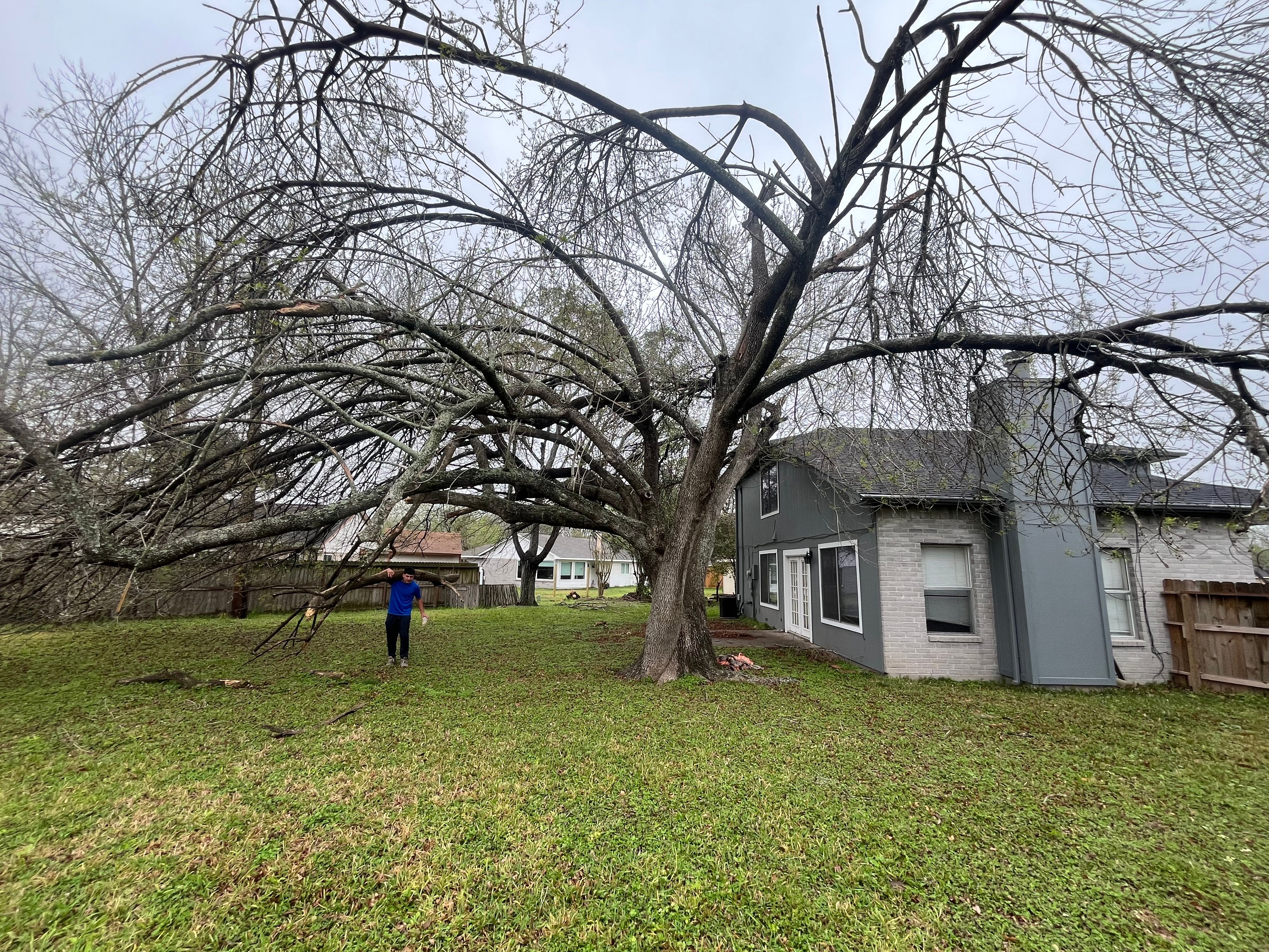  for Garza Lawncare & Tree Service in Pearland, TX