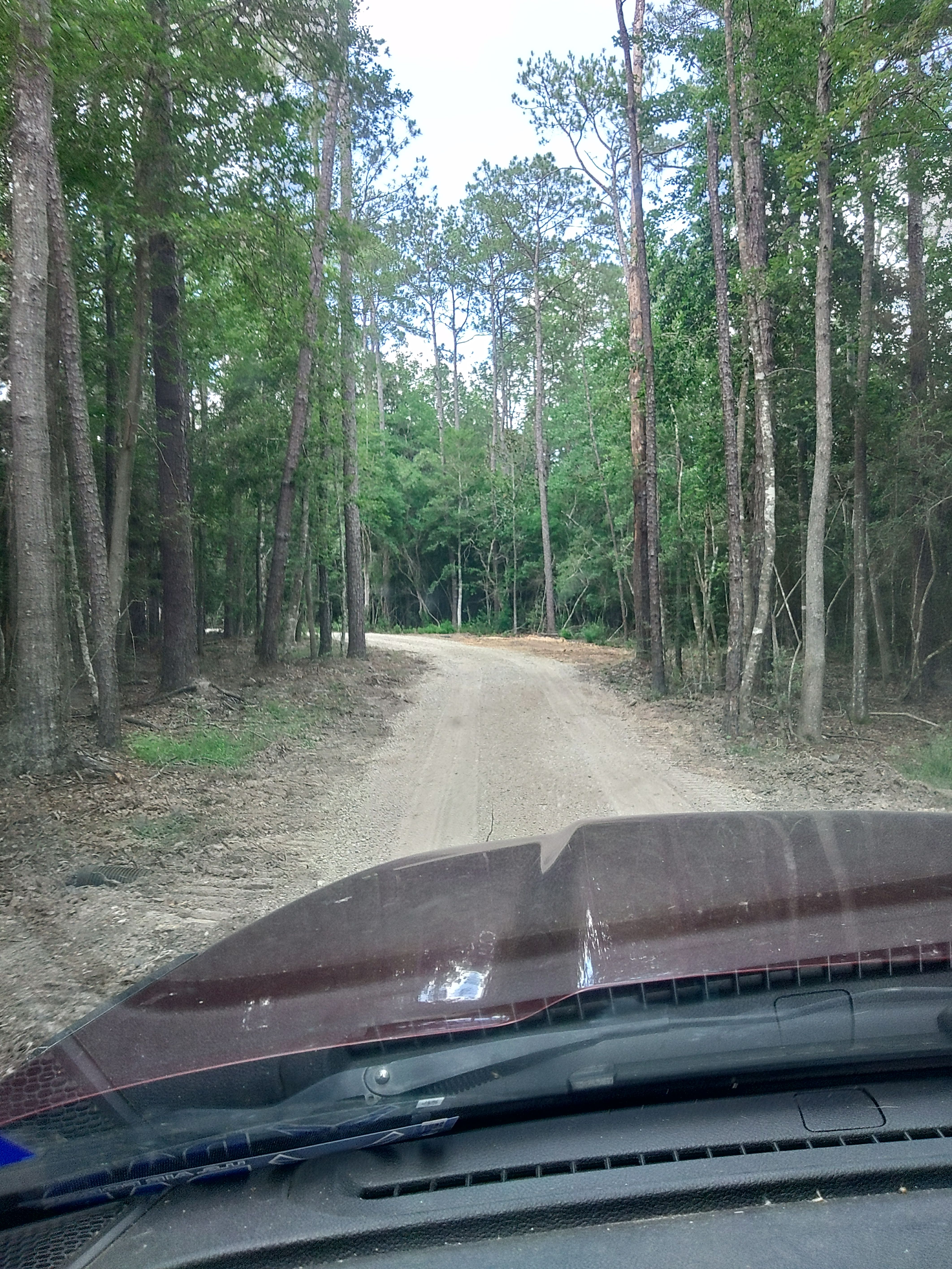 All Photos for Big Thicket Land Clearing in Kountze, TX