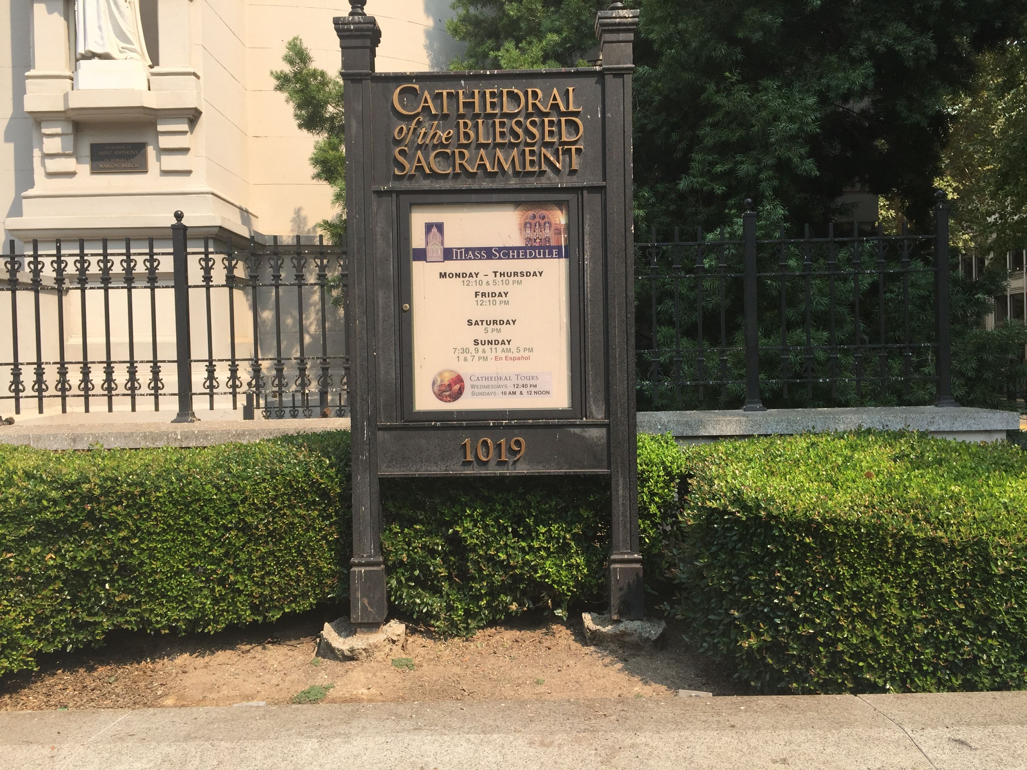  for Blue Water Landscape Services in El Dorado Hills, CA