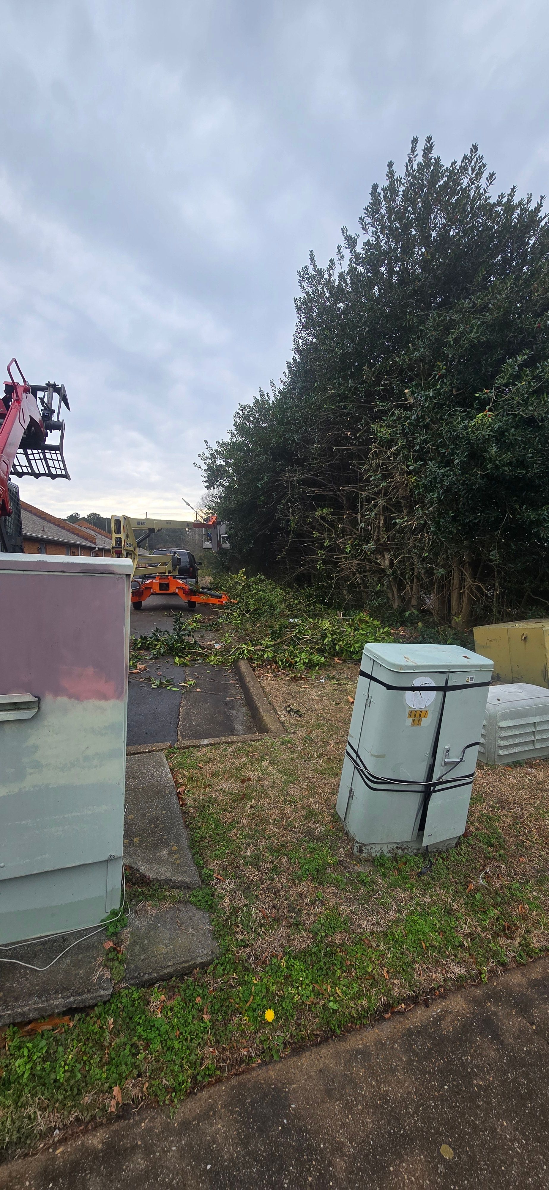  for Beach Tree Care in Virginia Beach, VA